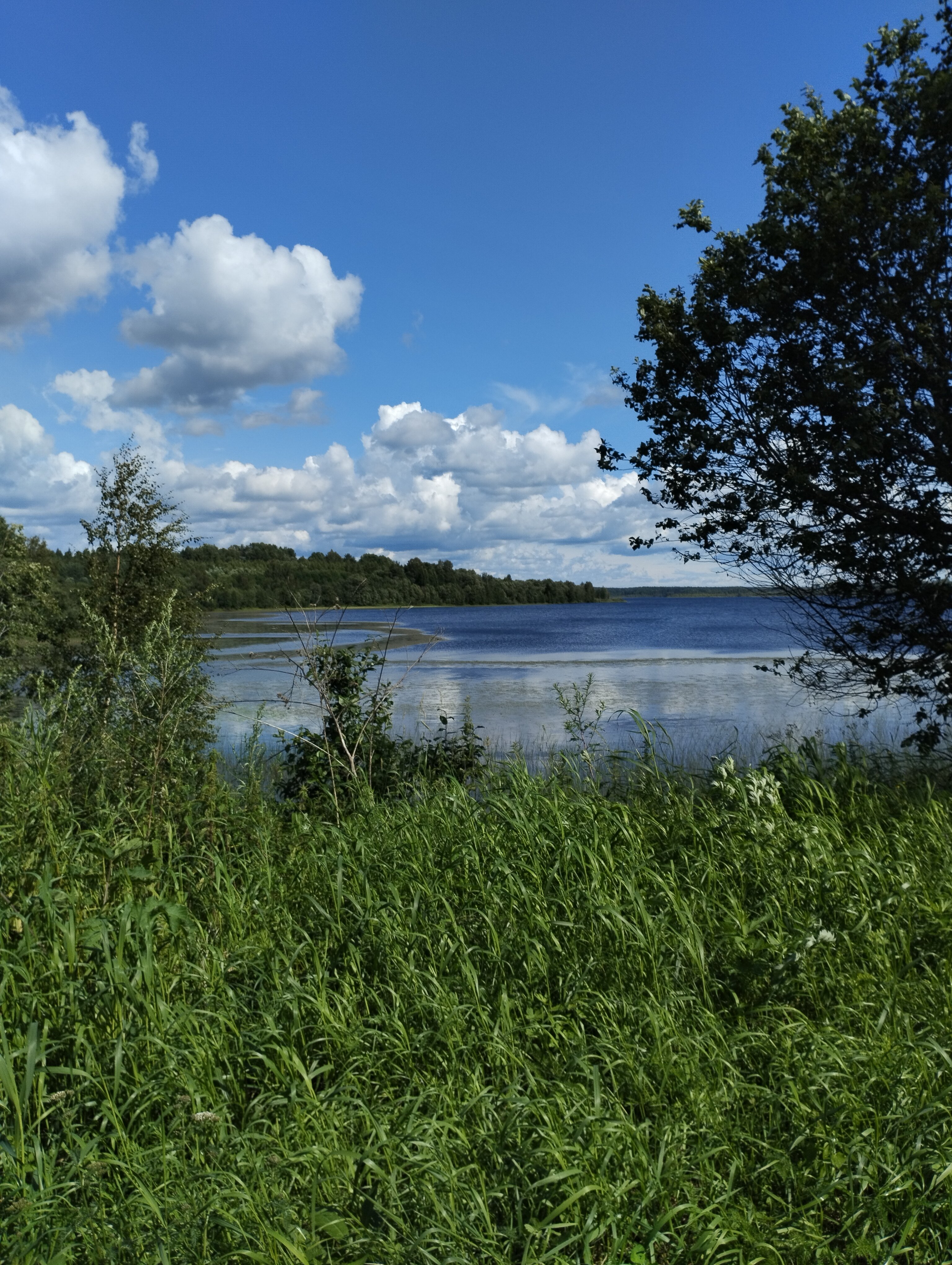 Фото Дальние дачи