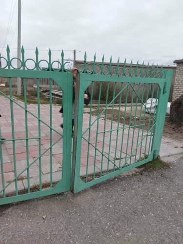 Mosque Центральная мечеть, Republic of Dagestan, photo