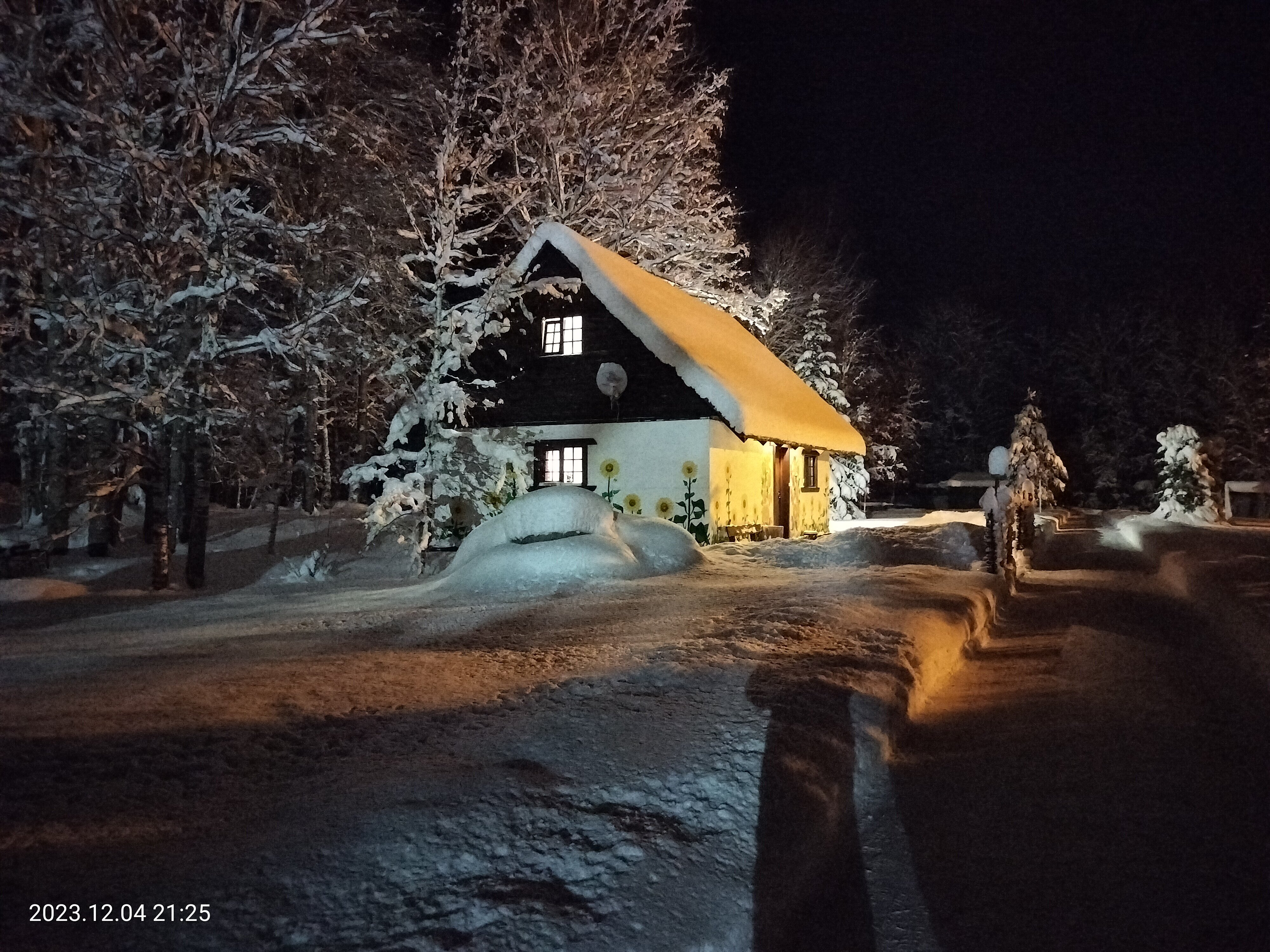 Фото Родная Усадьба