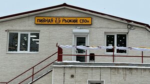 Rizhii Slon (Yuzhno-Sakhalinsk, Sakhalinskaya Street, 136), bar, pub