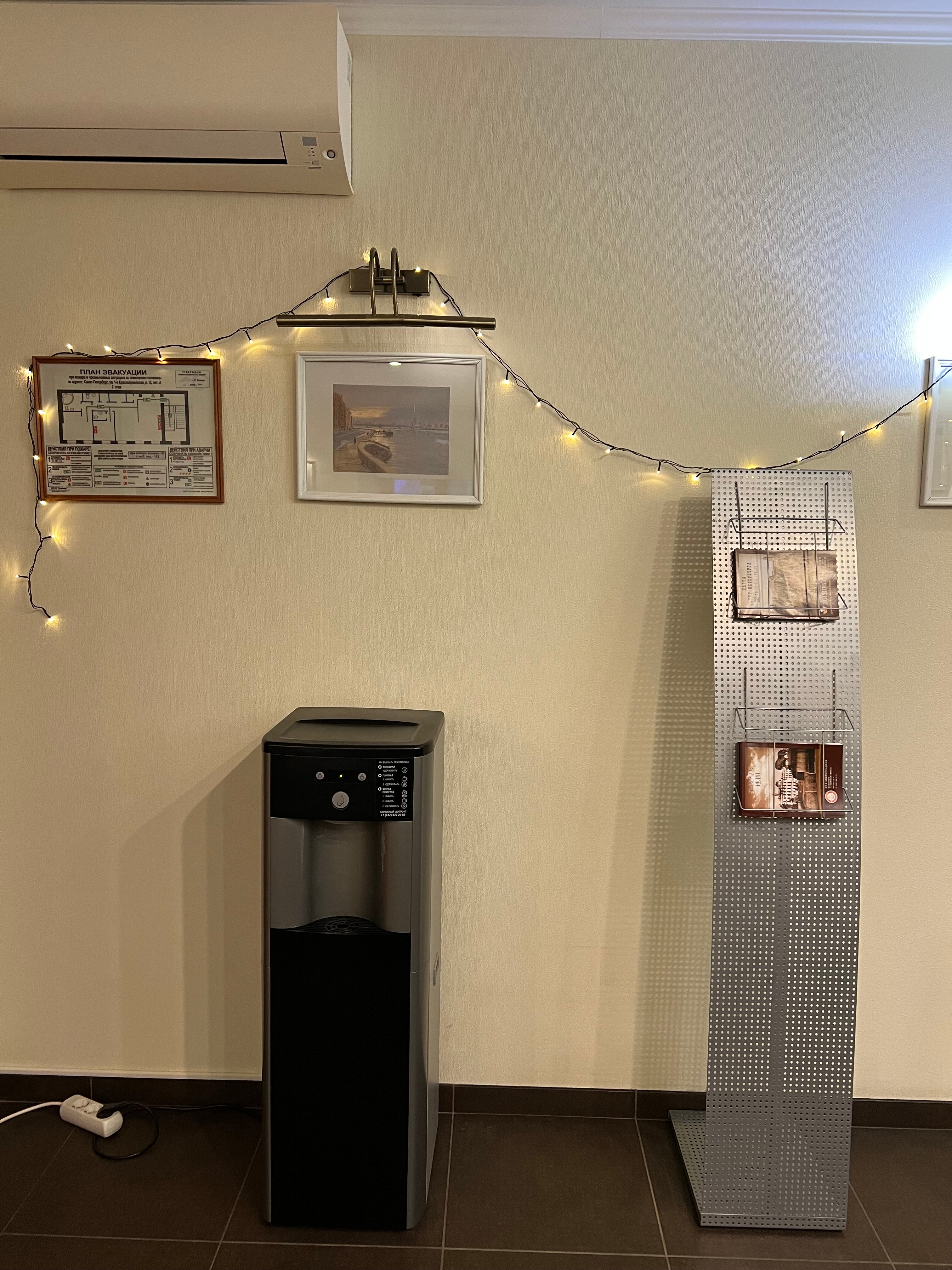 Фото Алегрия