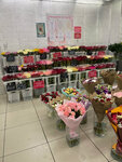 Moi cvety (Kommunisticheskaya ulitsa, 21Ас1), flower shop