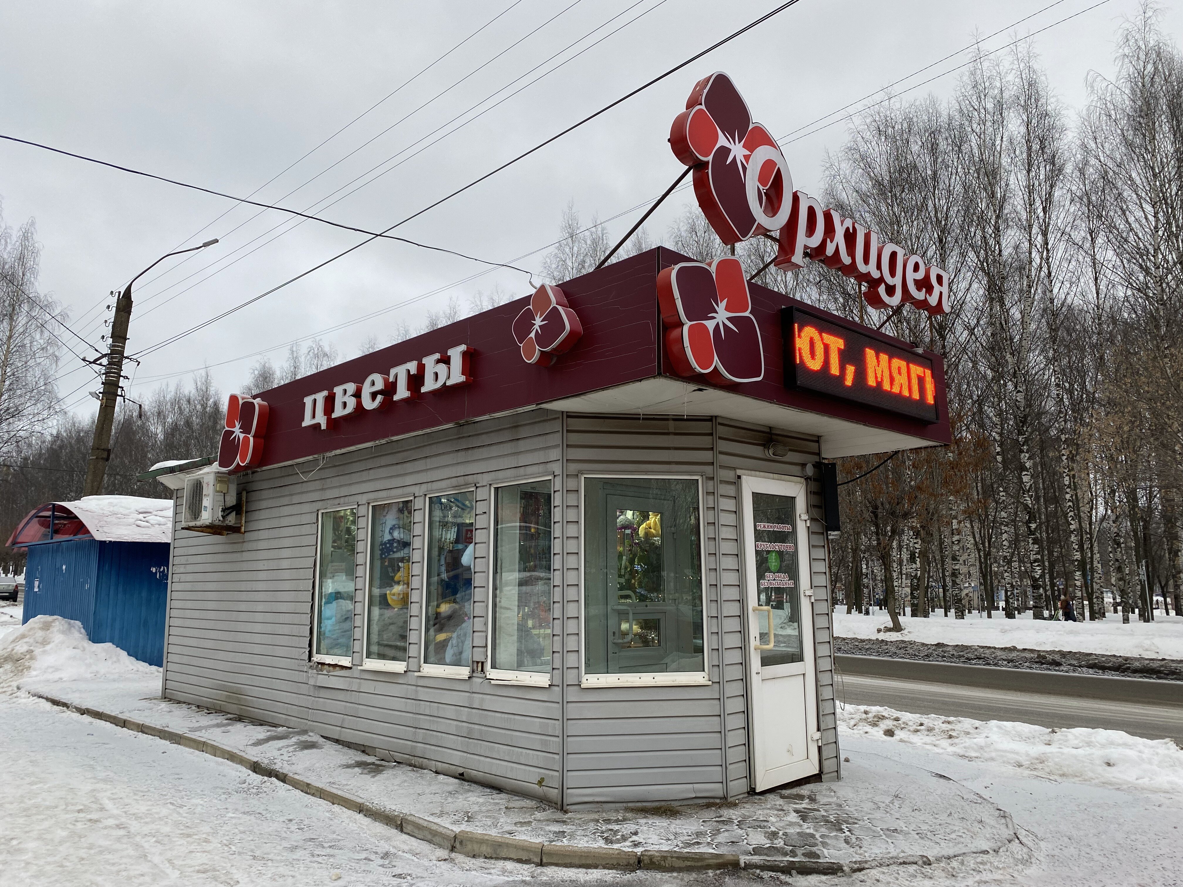 Орхидея лопасненская ул 8а фото