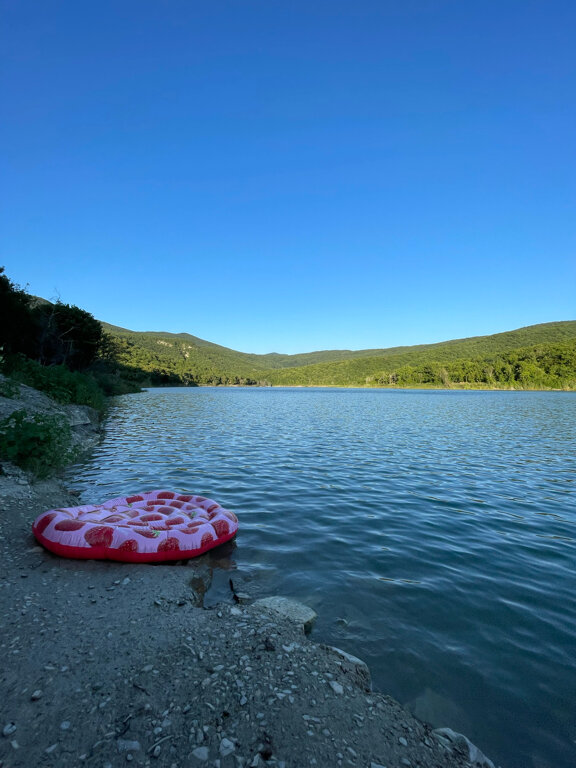 Фото Горный Енот