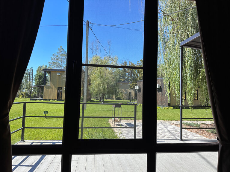 Фото Тополя