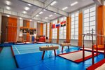 МАУ ДО Спортивная школа (zhiloy rayon Lesnaya Polyana, prospekt V.V. Mikhaylova, 5Б) ، مدرسة رياضية