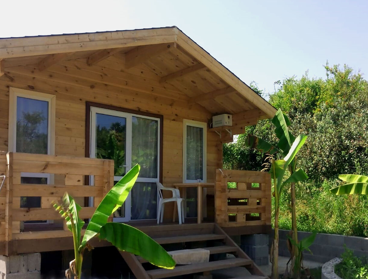 Фото У Комаровых