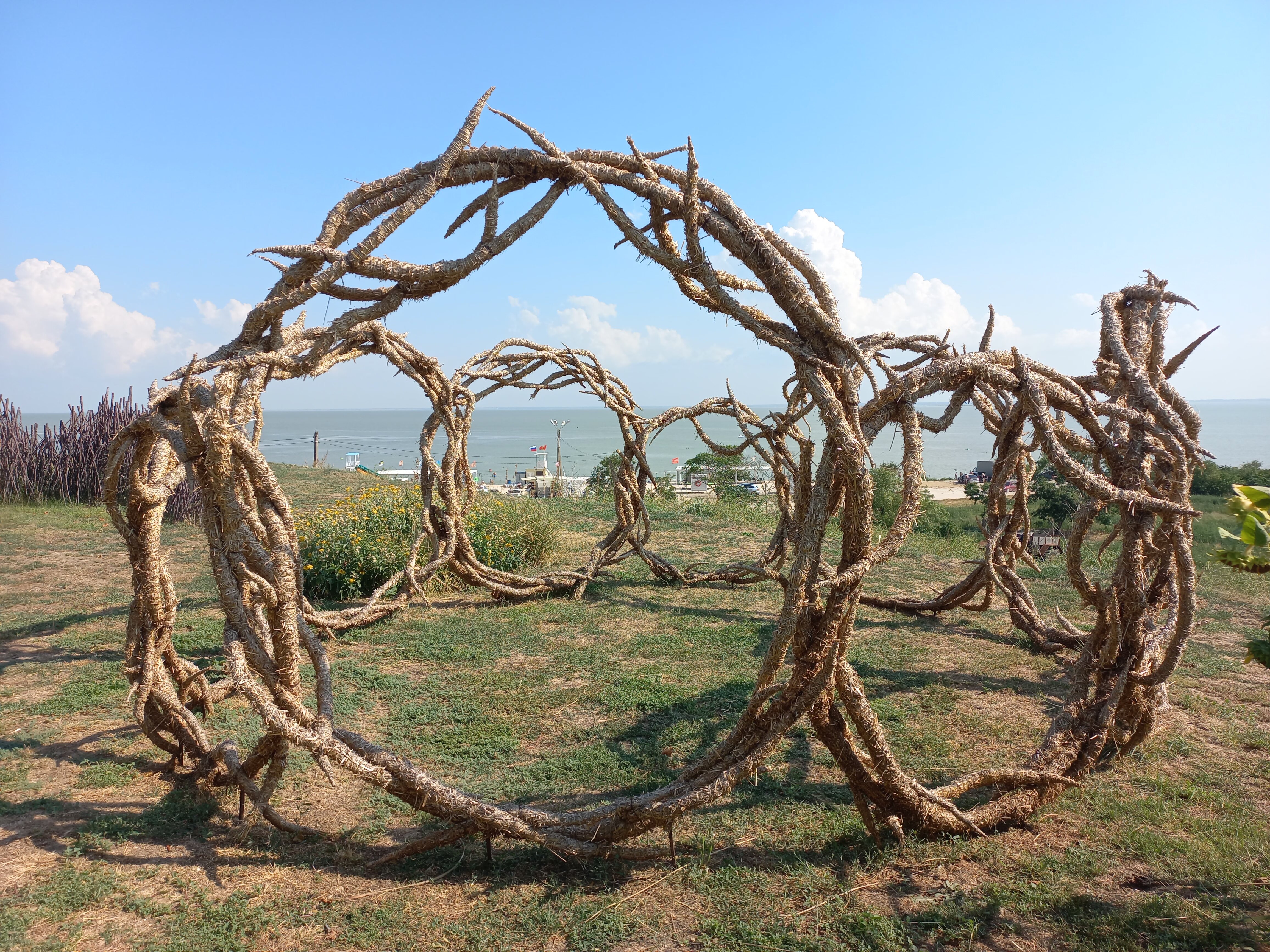 Фото Альбатрос