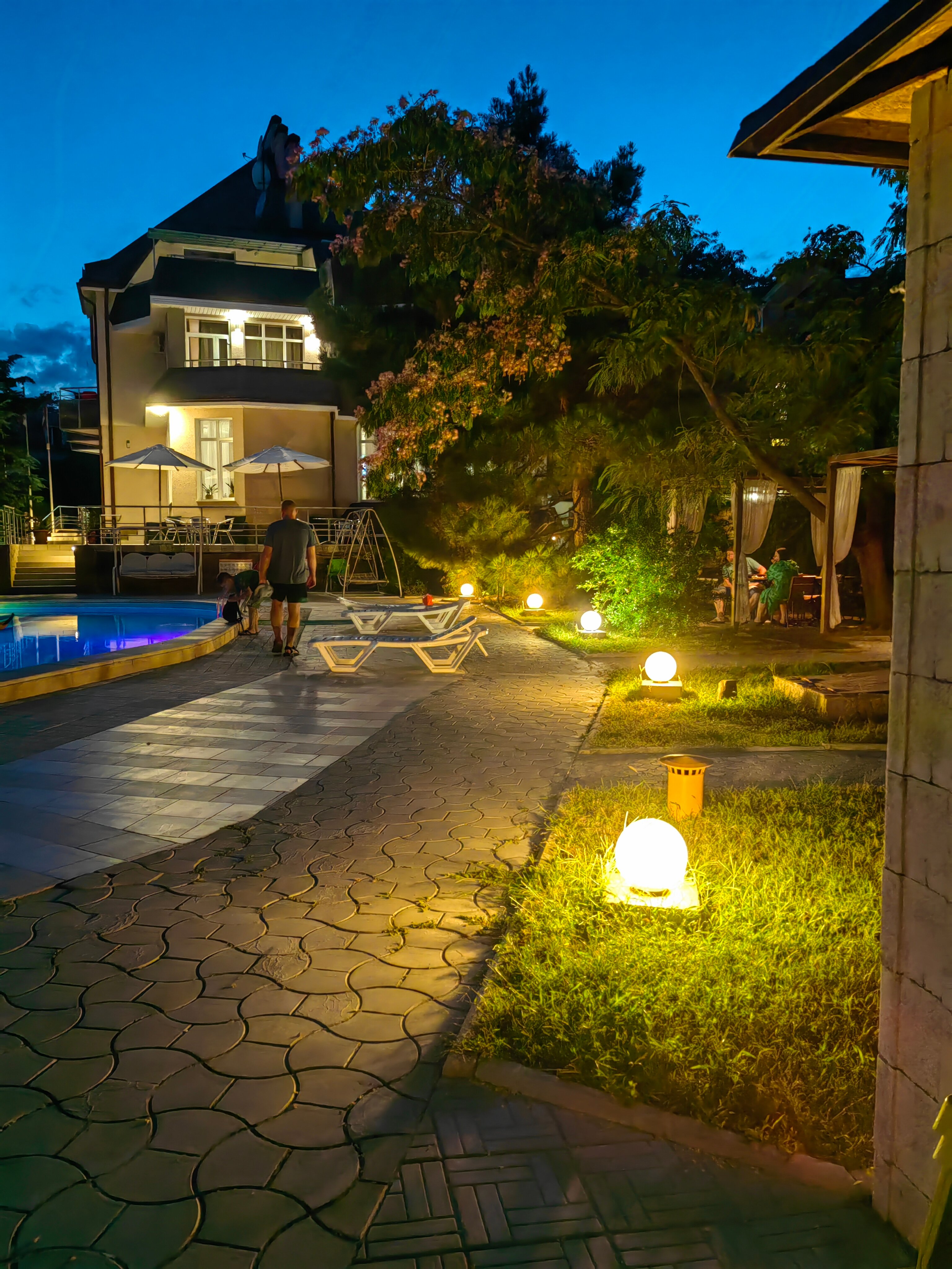 Фото Морской конек