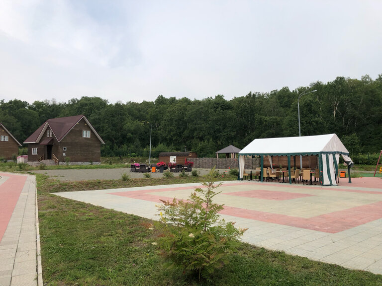 Фото Лесная поляна