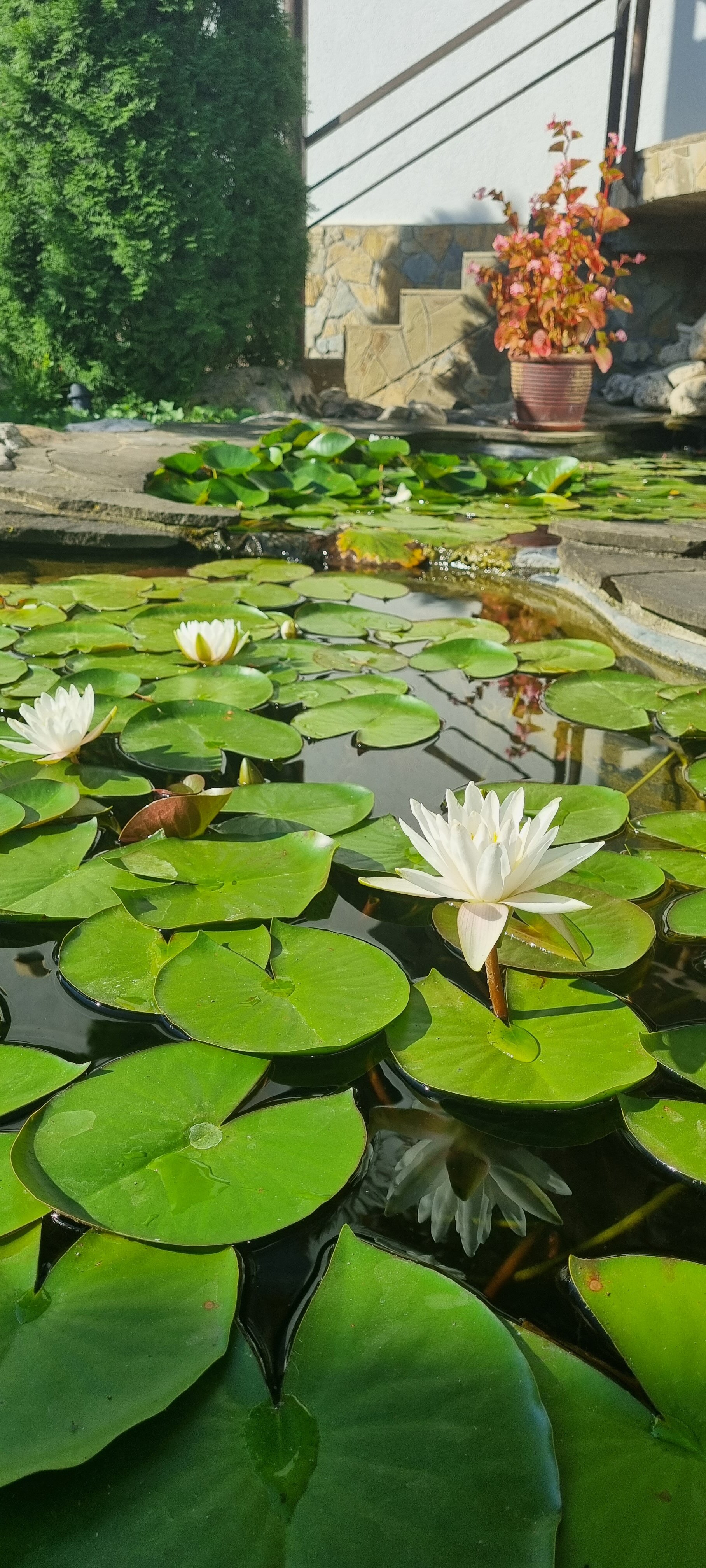 Фото Усадьба Парфенова