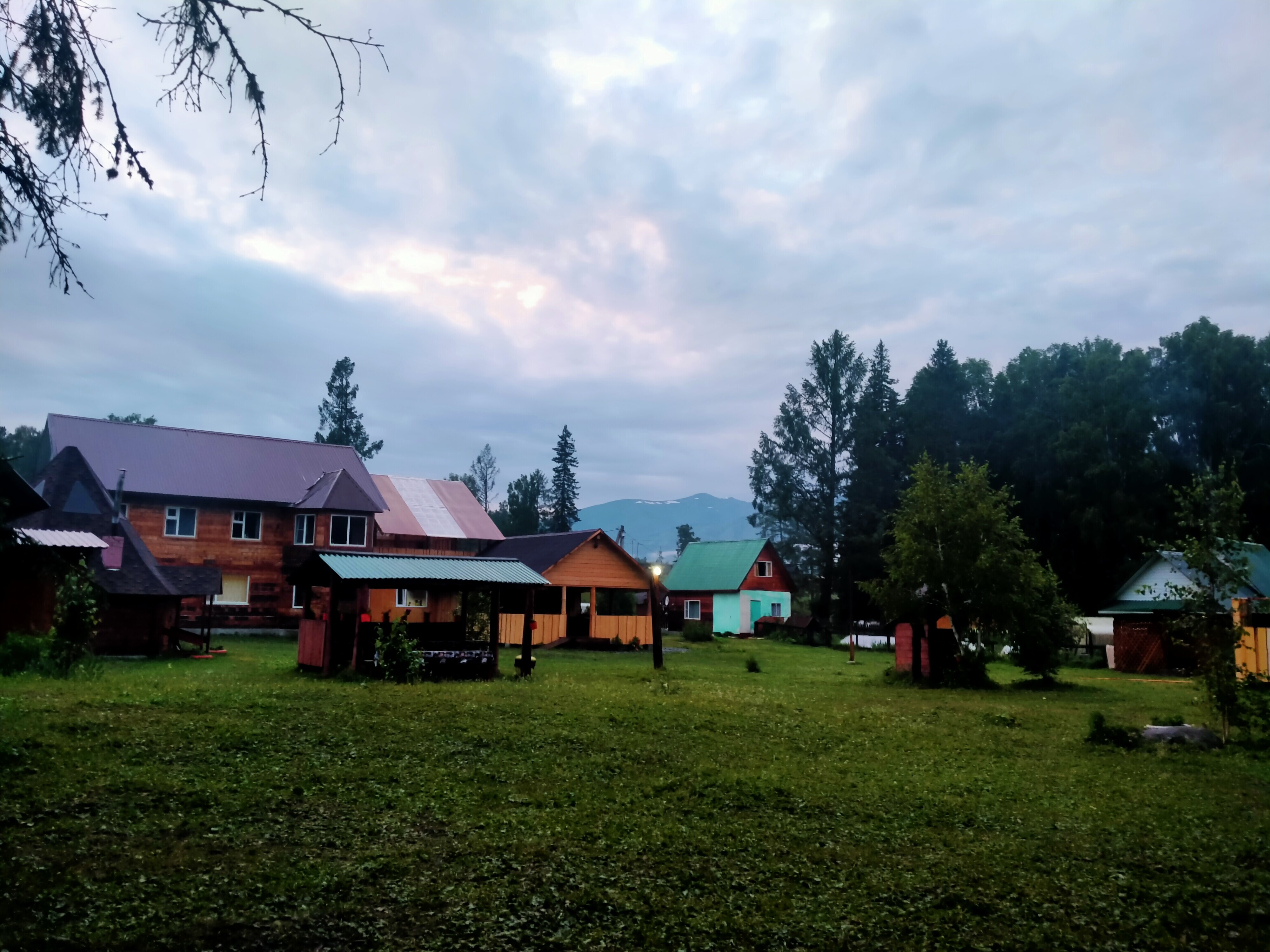 Фото Еловая опушка