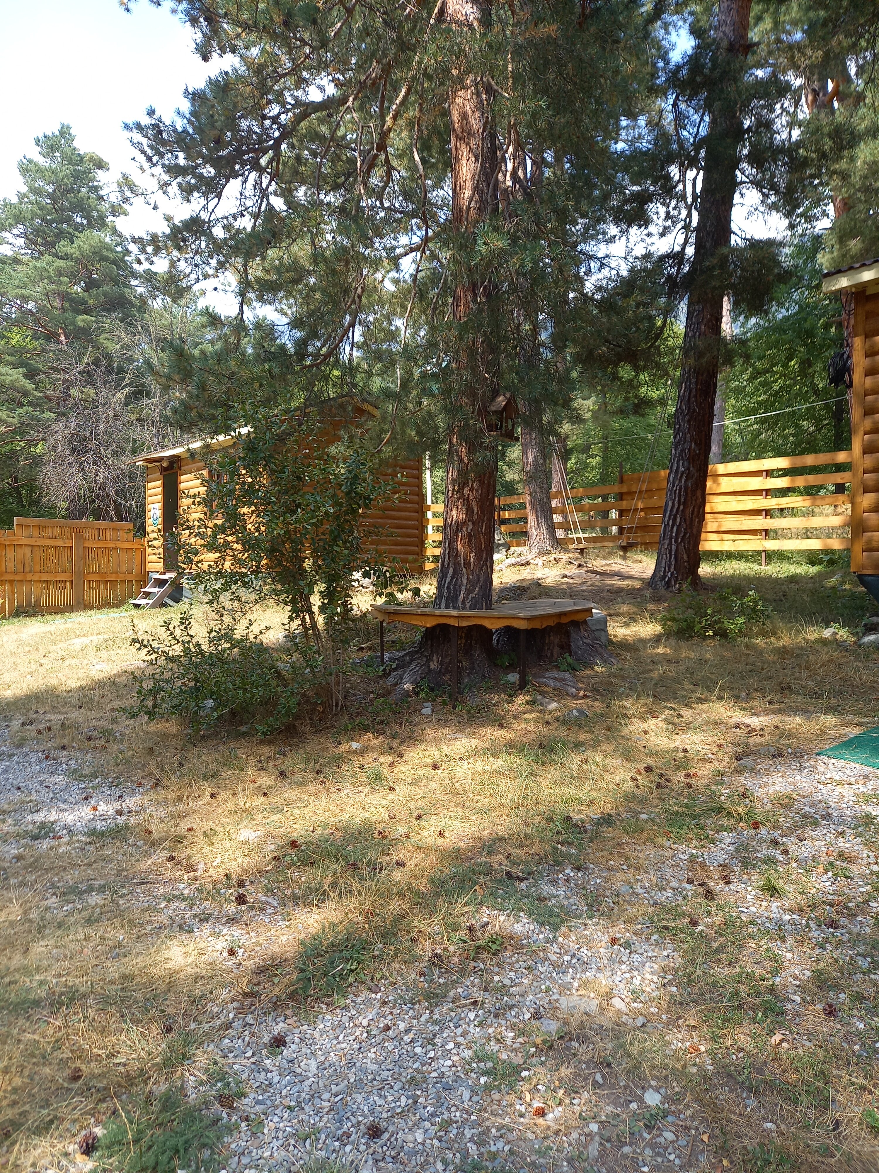 Фото Тайга House