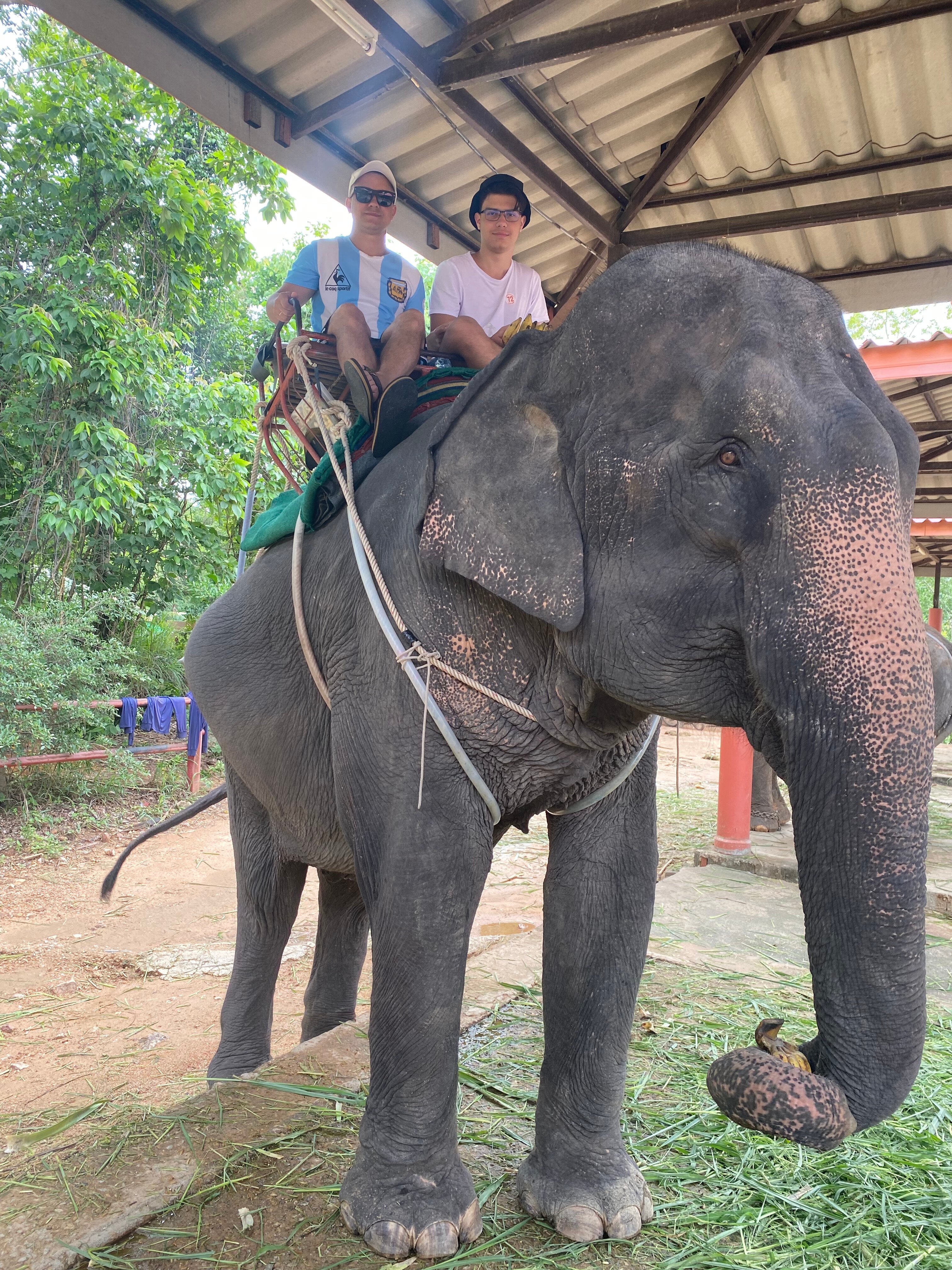 Фото Grand Jomtien Palace Hotel