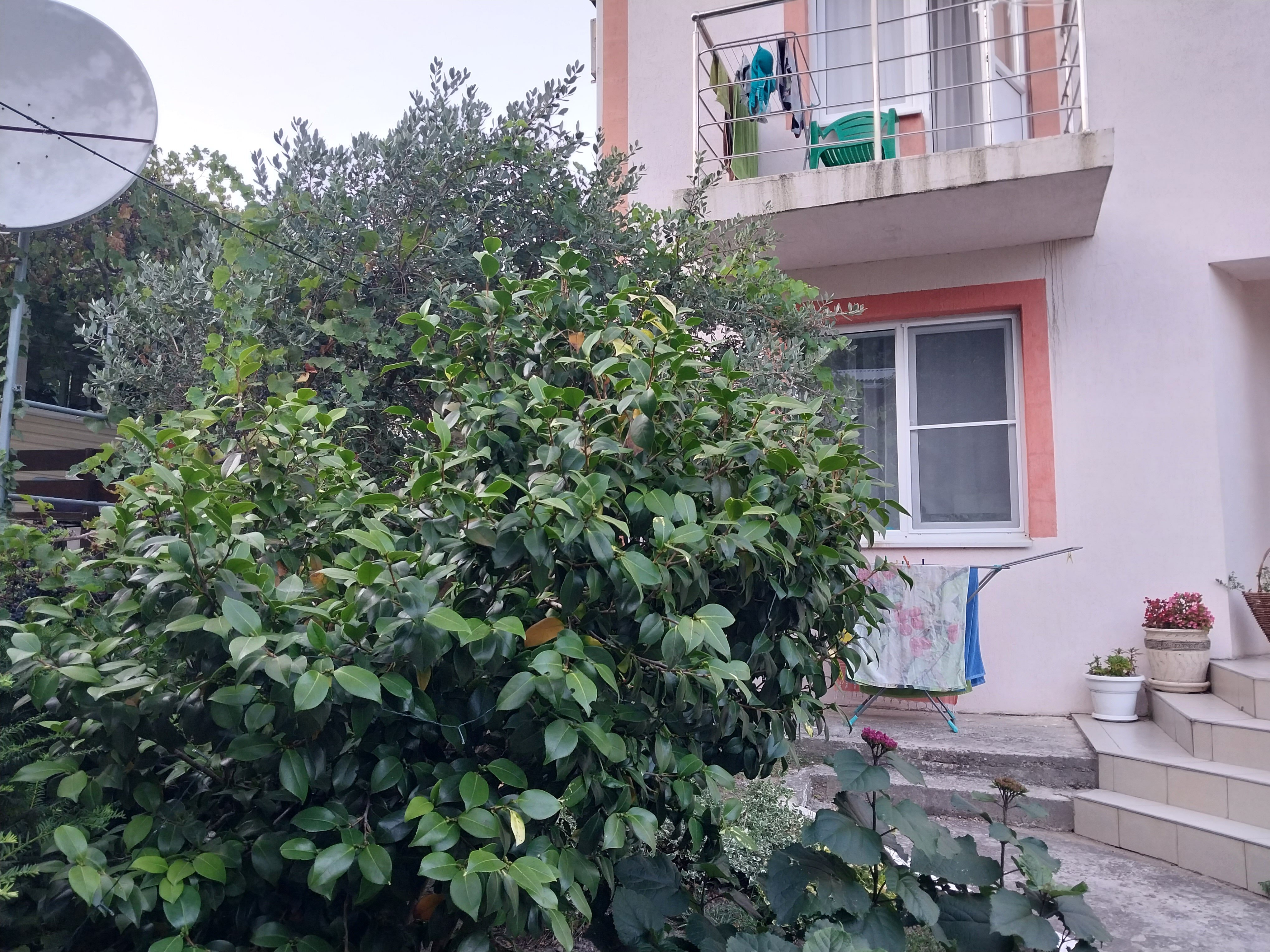 Фото Райский уголок