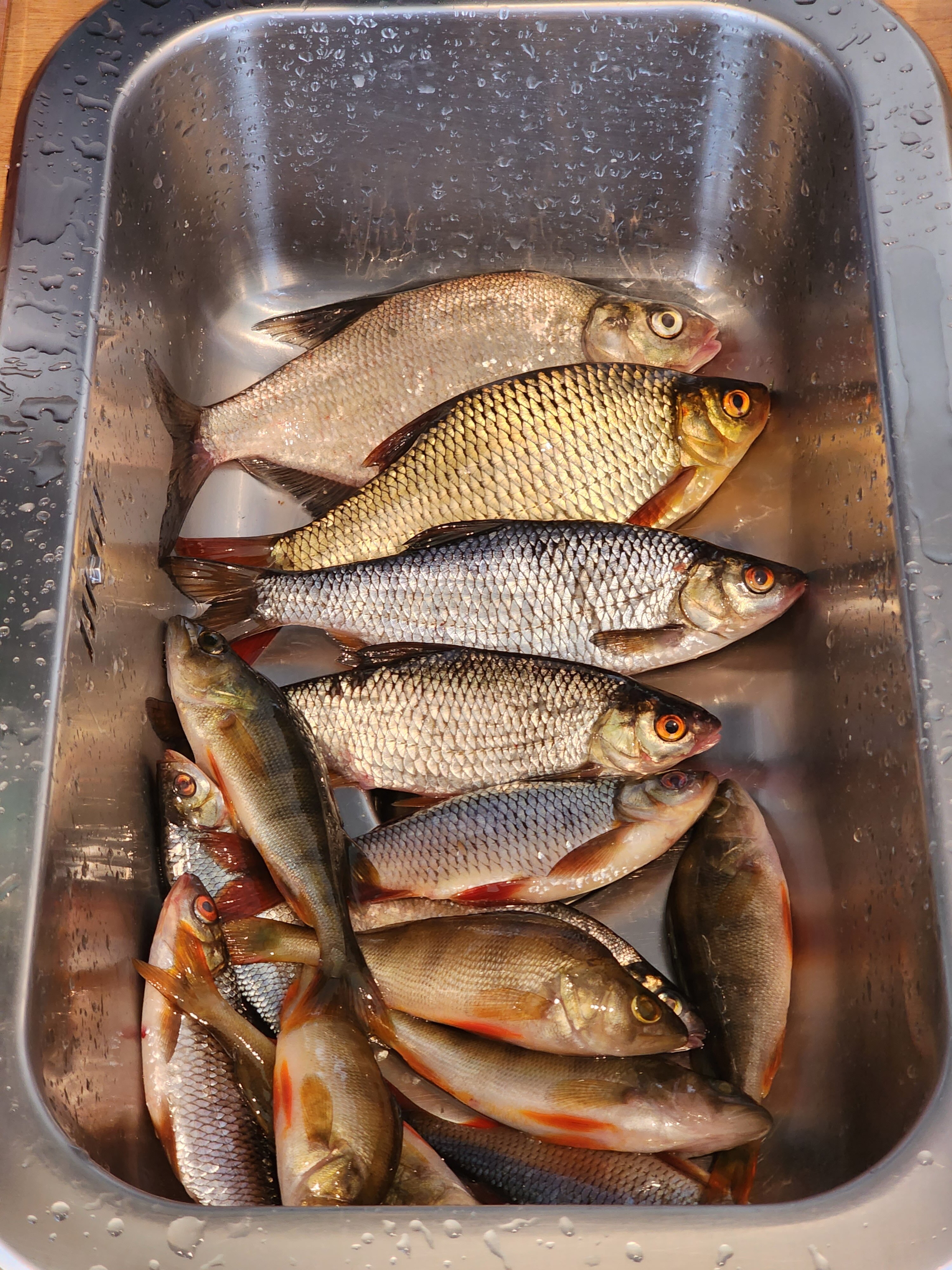 Фото Дом в лесу Холмово