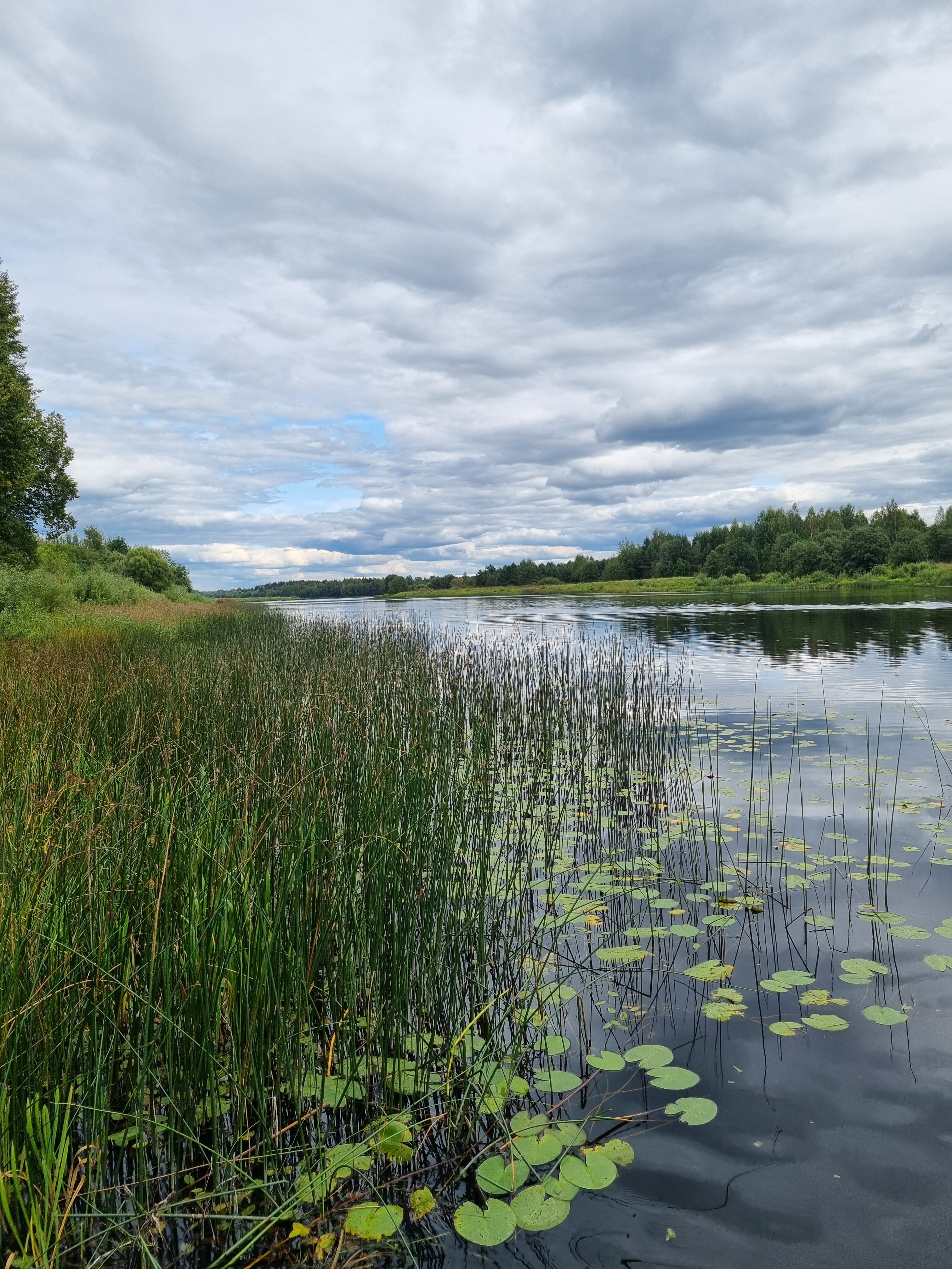 Фото Медведица Шанти