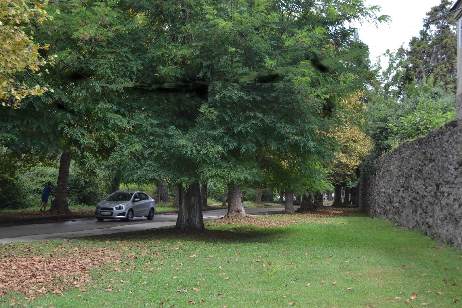 Фото Киараз Старт