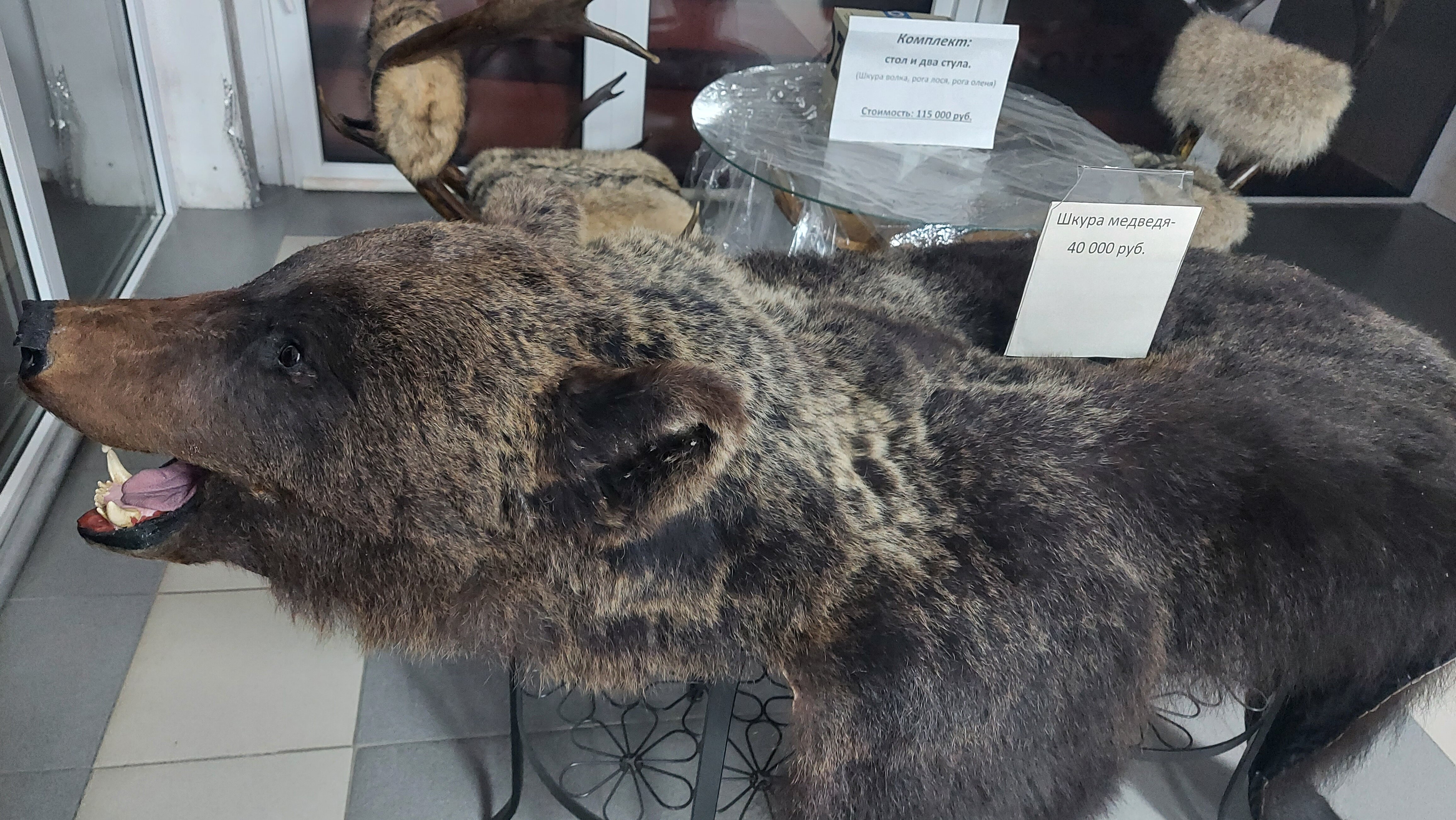 Фото Мотель Пушной