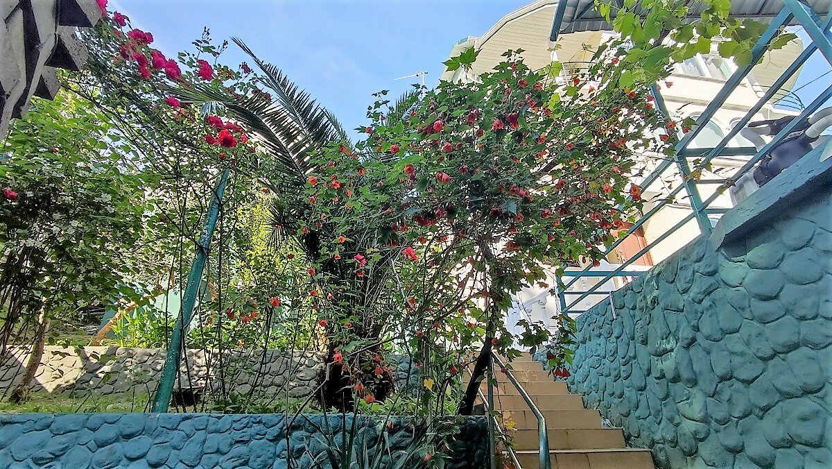 Фото Гостевой Дом Лазурный Берег