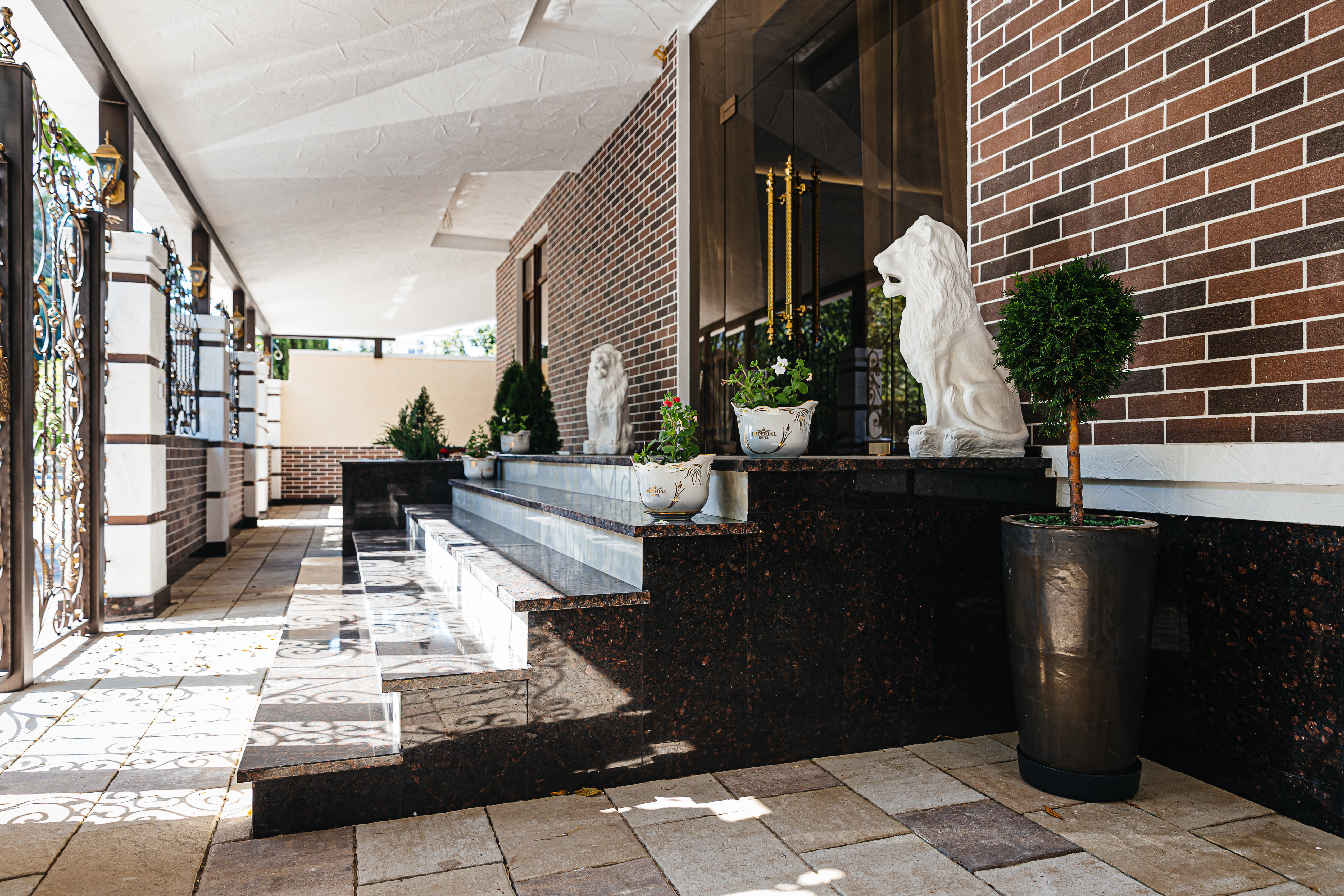 Фото Монарх