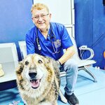 Village Vet (4, Paris Street, Al Hamra Village, Sector 6, Ras Al Khaimah), pet products wholesale