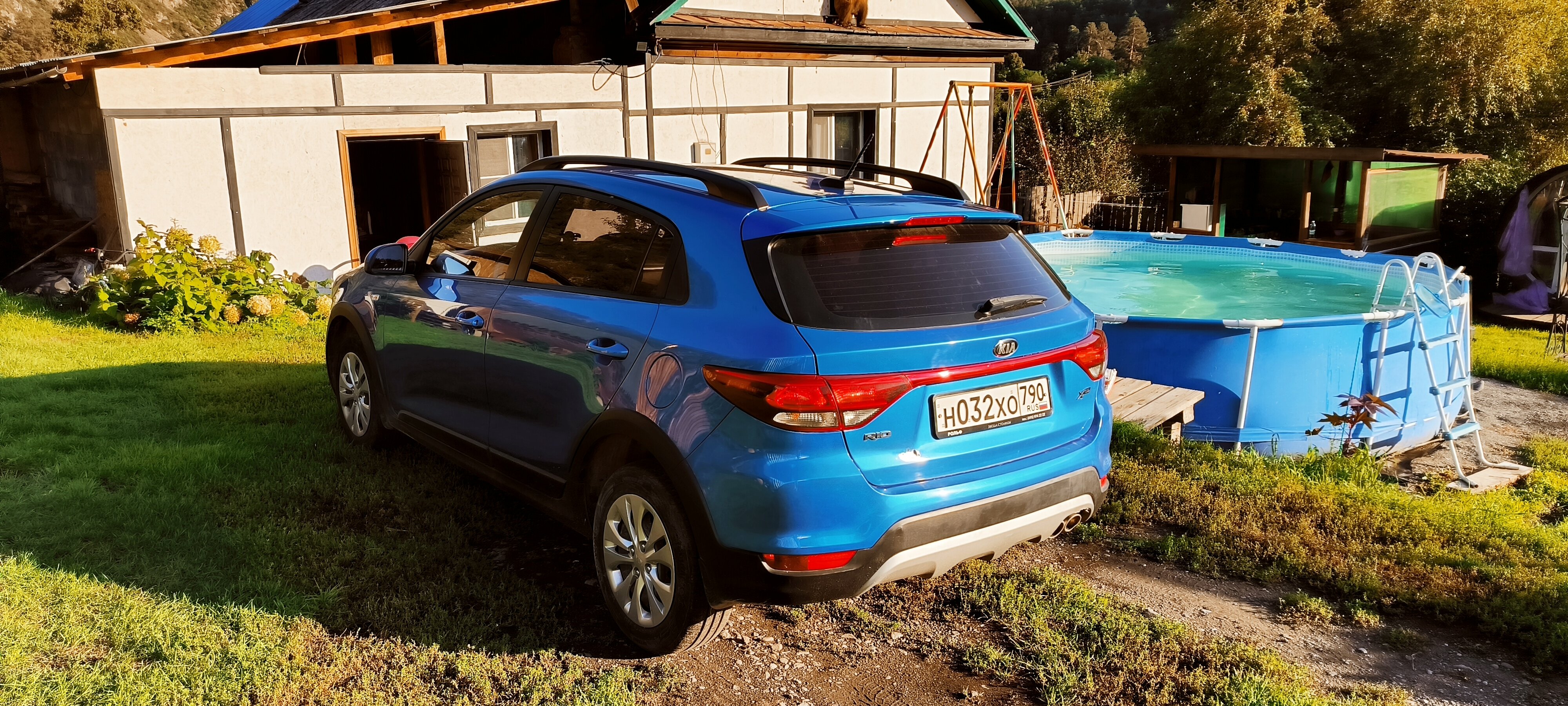 Фото Кедровый бочонок