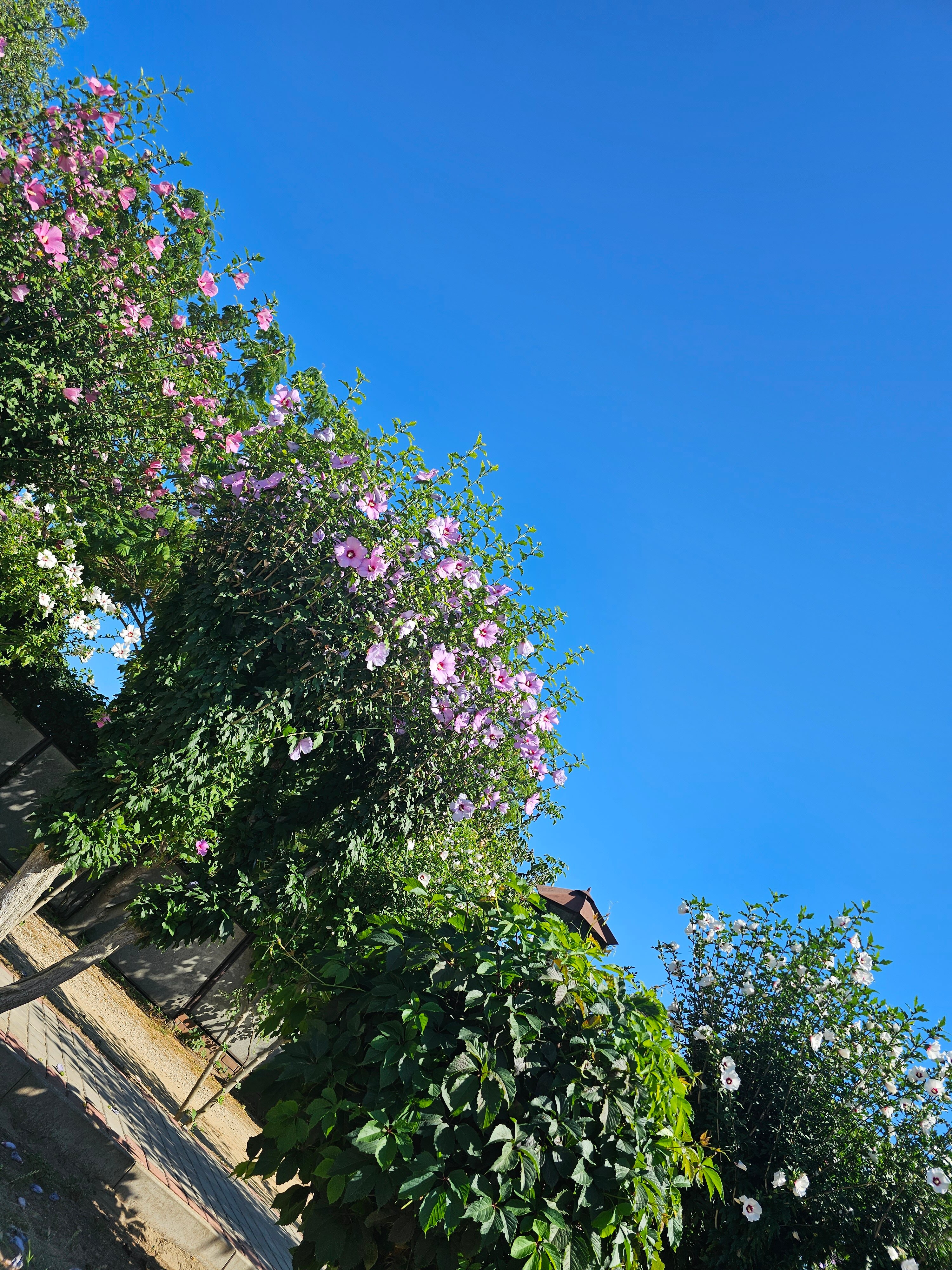 Фото Чудная Долина