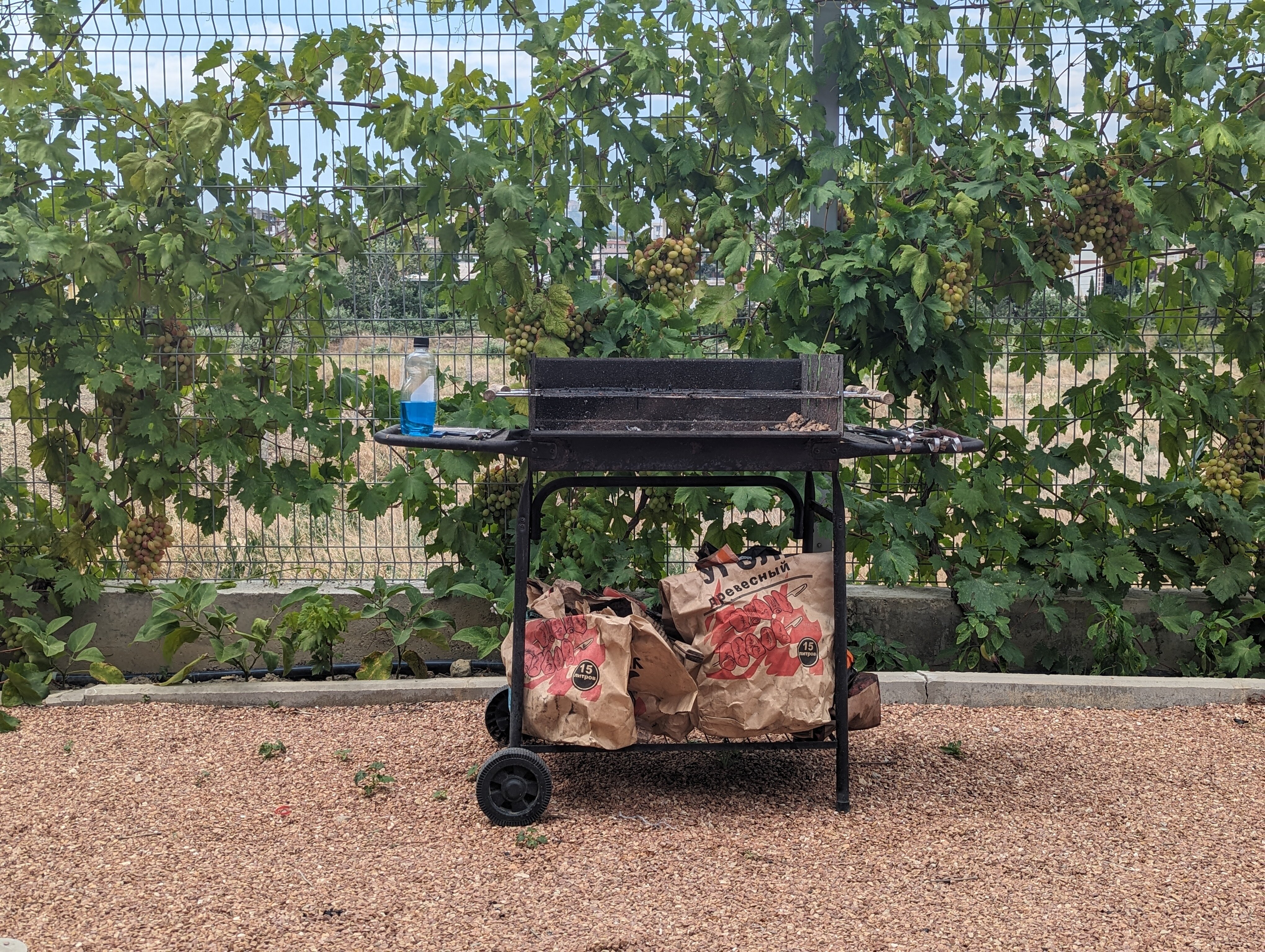 Фото Селена