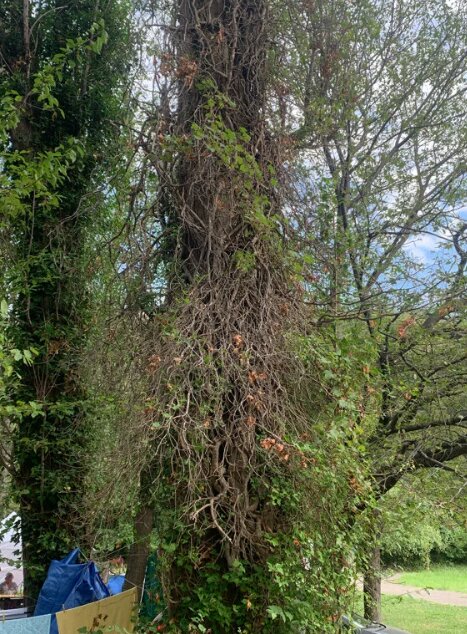 Фото Кемпинг Уют