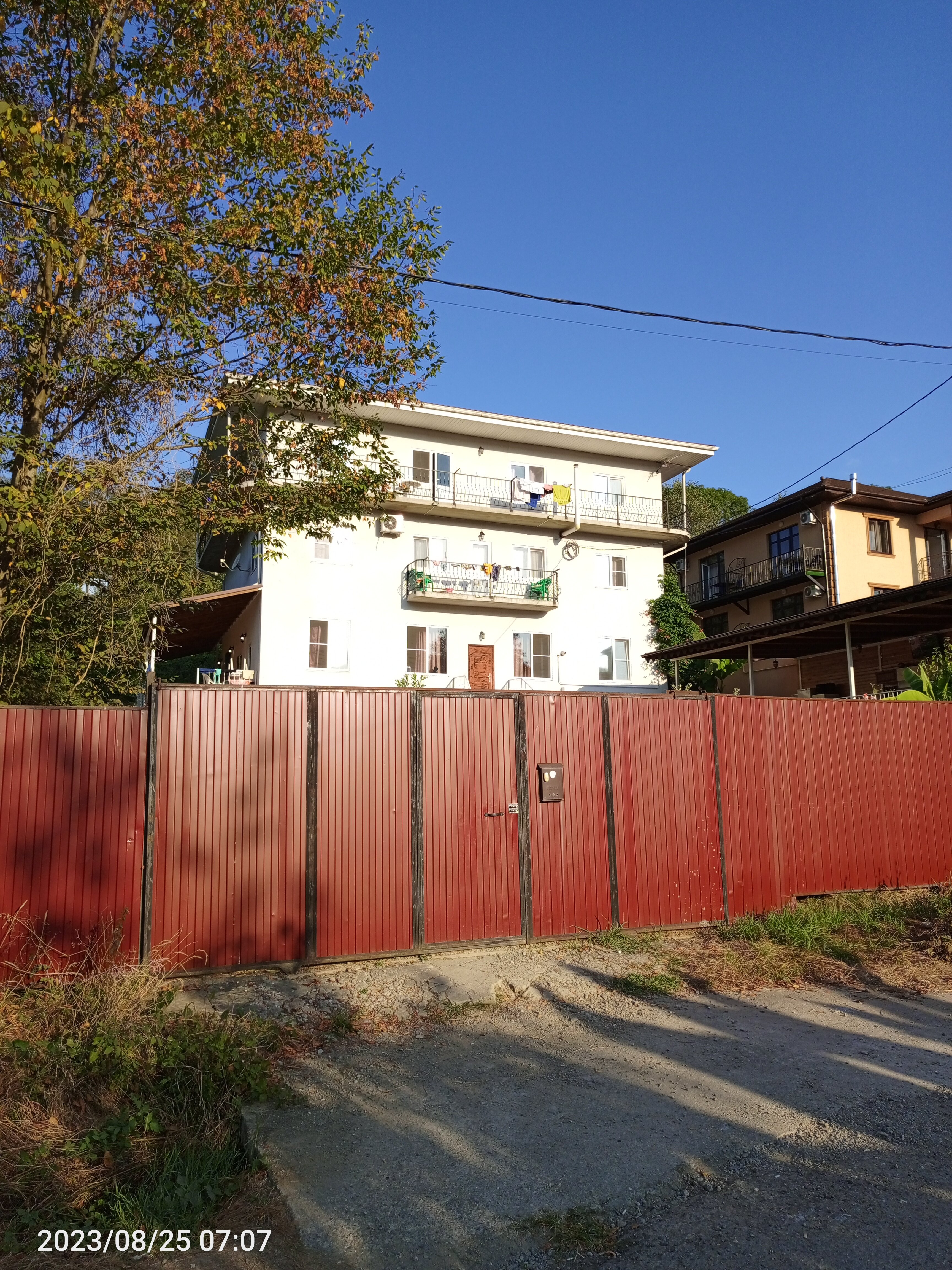 Фото Резеда