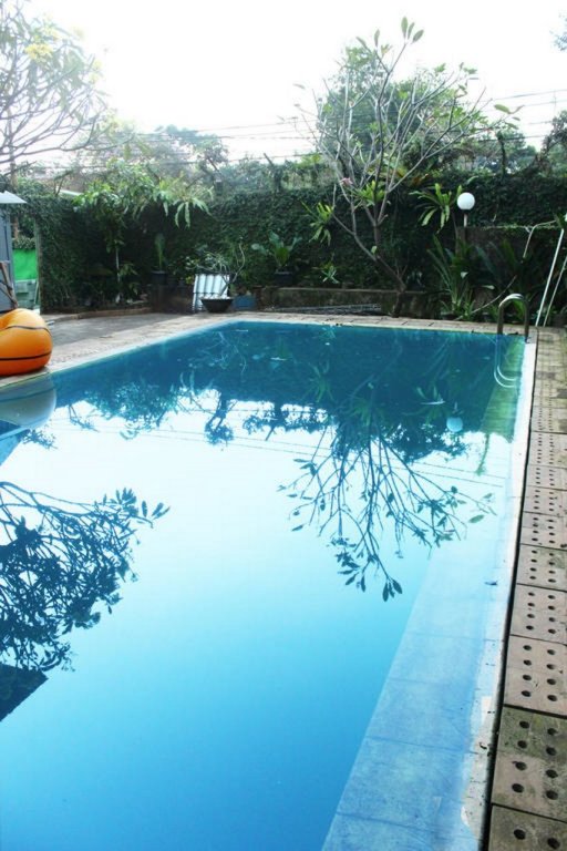 Фото Maven Buncit