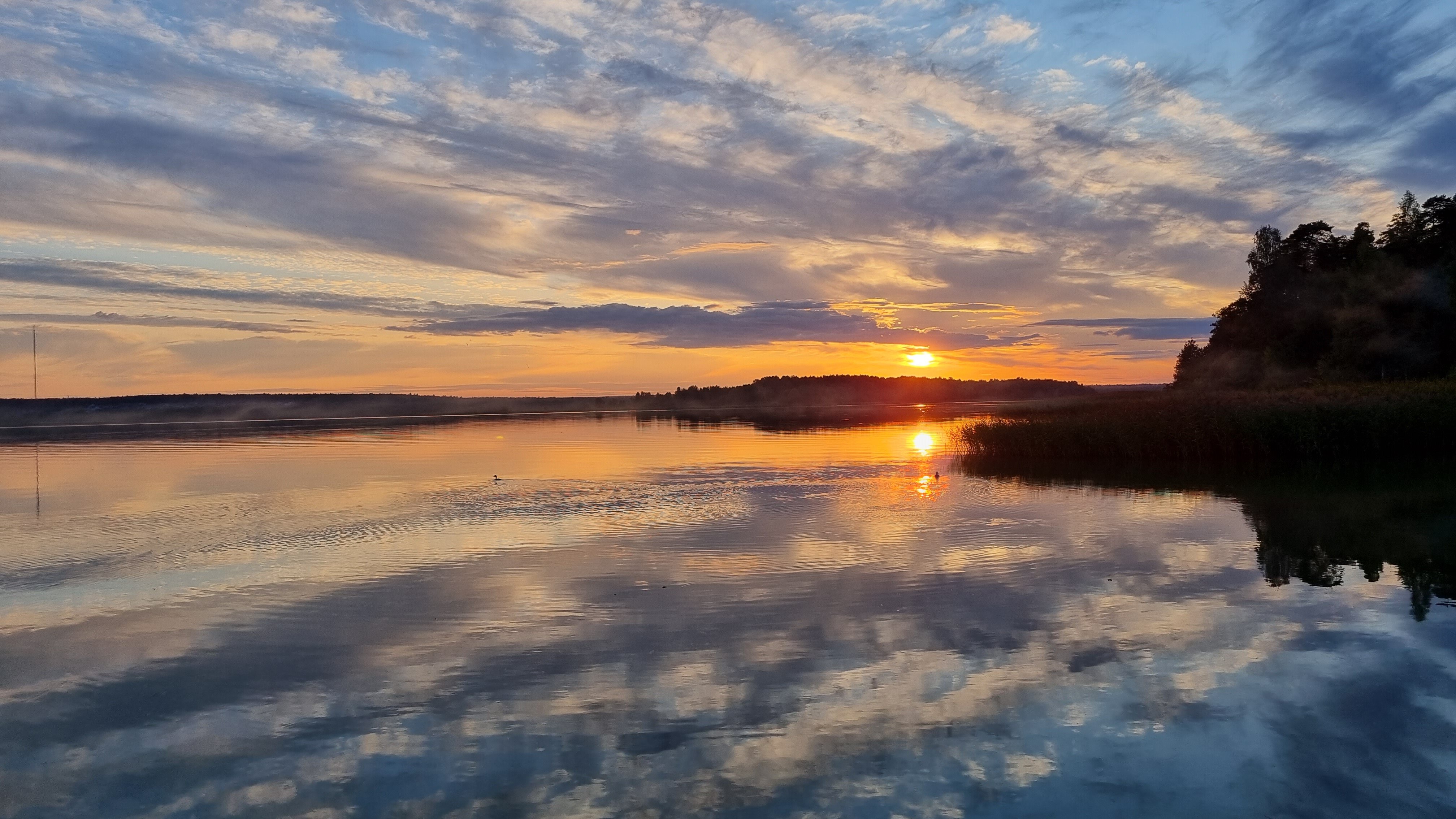 Фото Тихий Лес