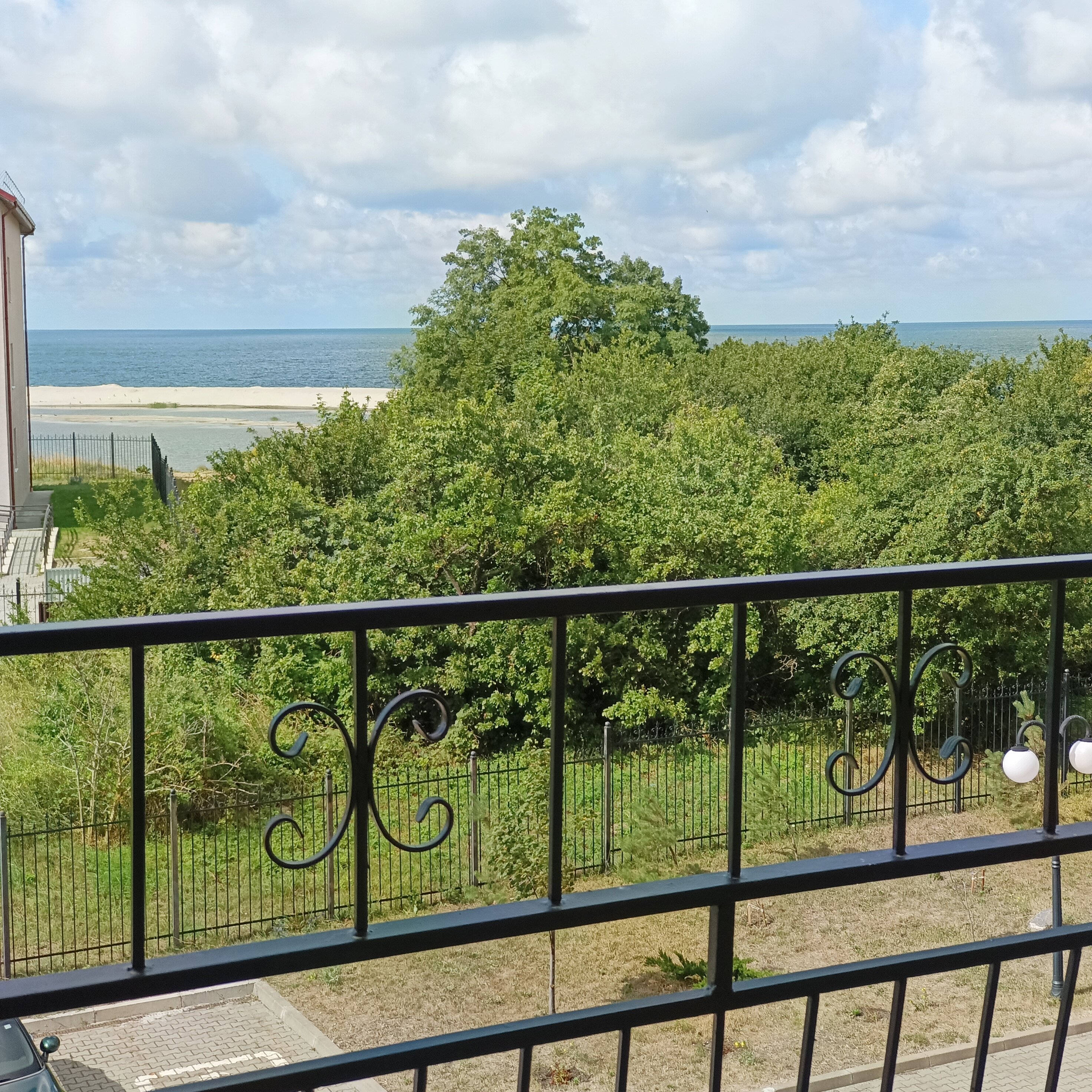 Фото Янтарная Корона