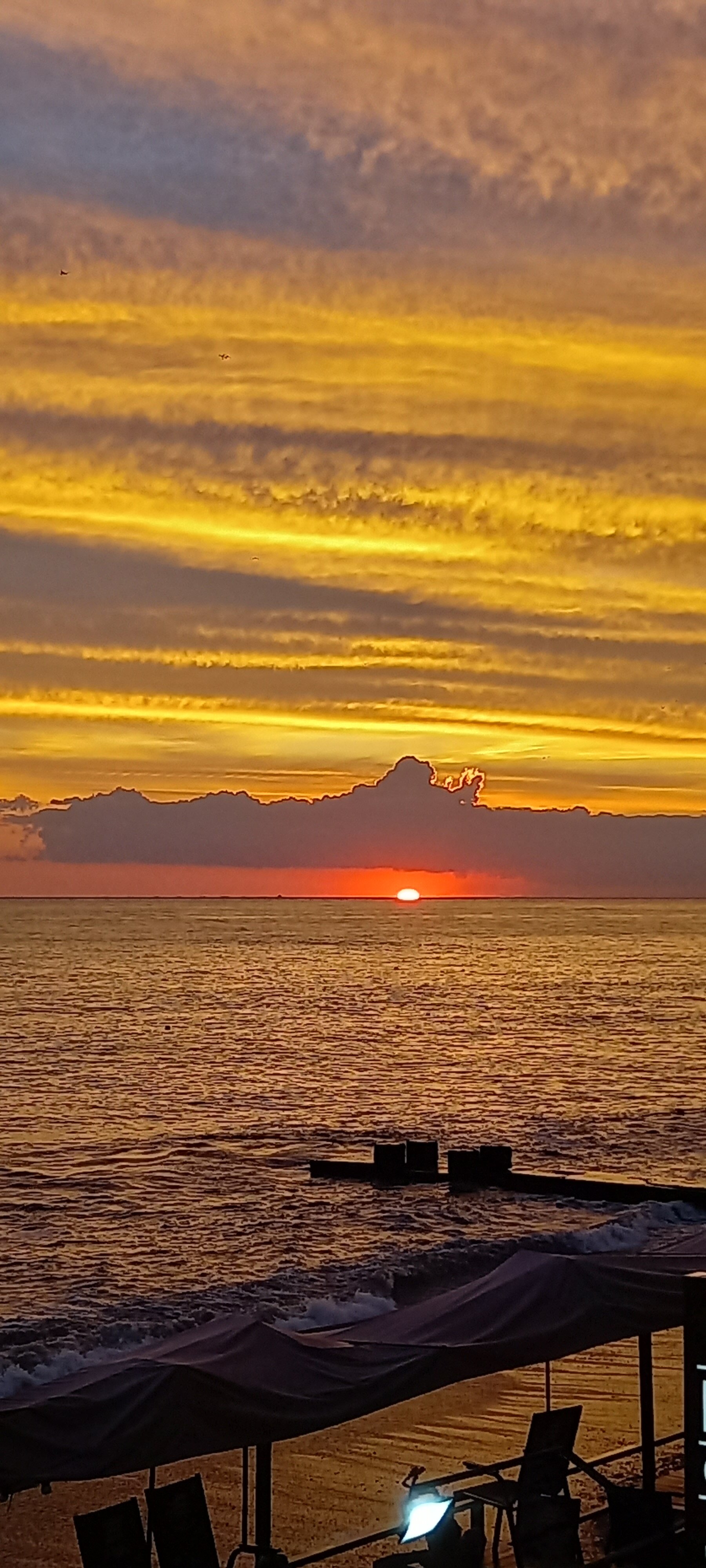 Фото Аррива