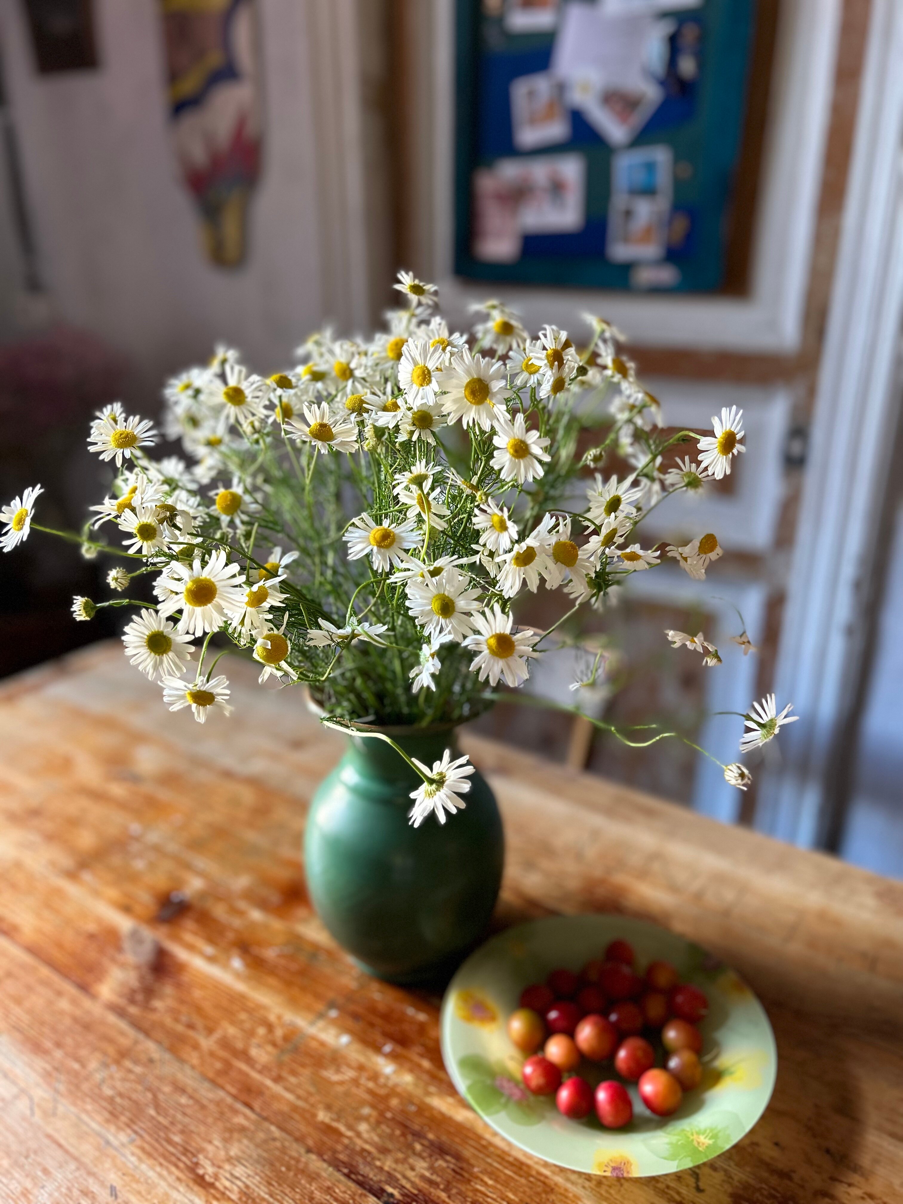 Фото Polosaty space