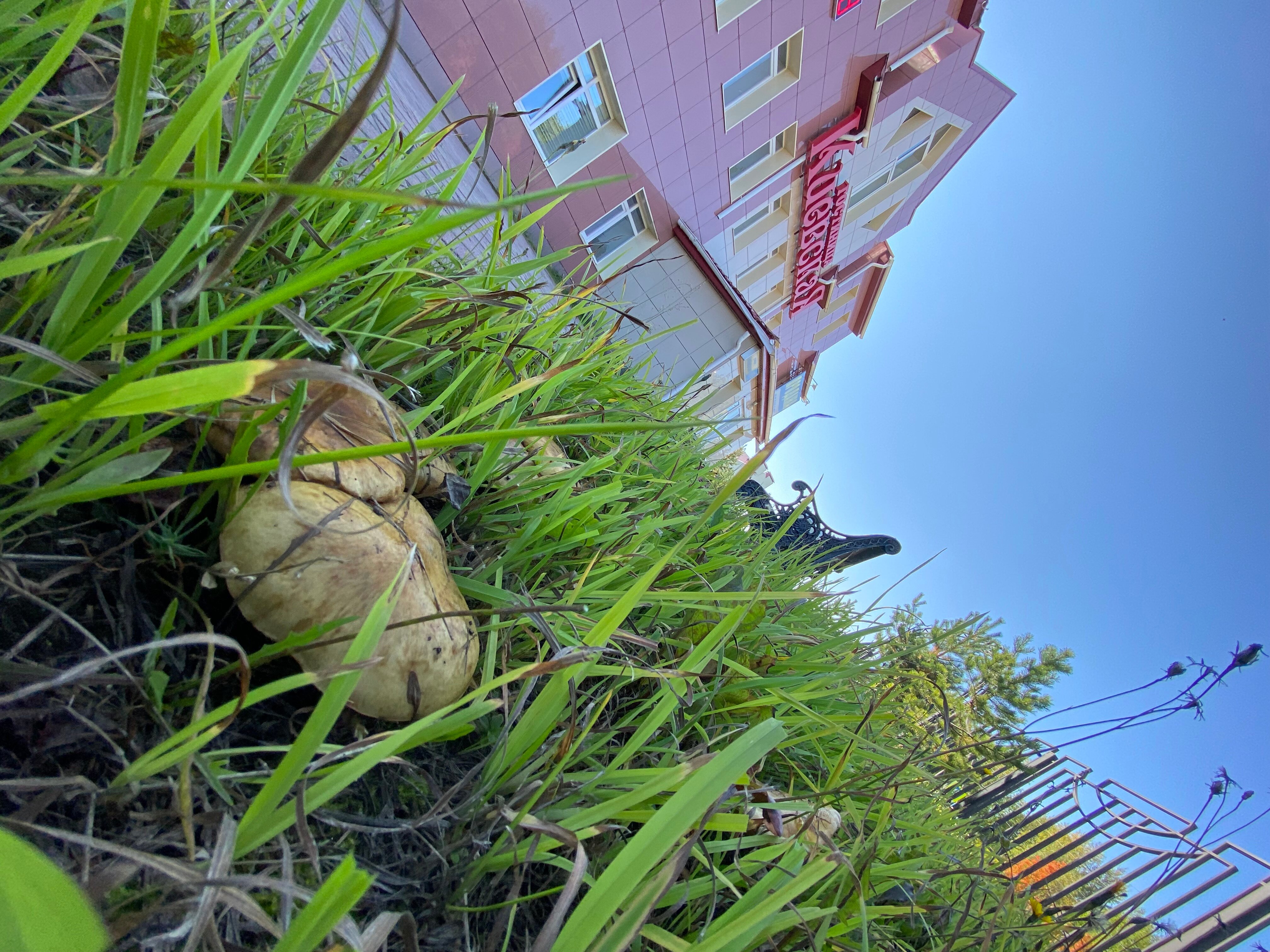 Фото Киевская