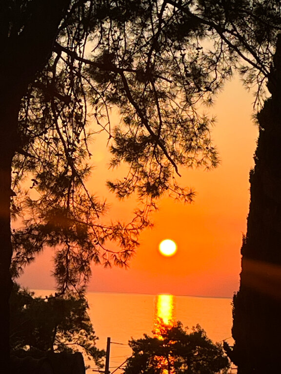 Фото Пансионат Солнечный Летний