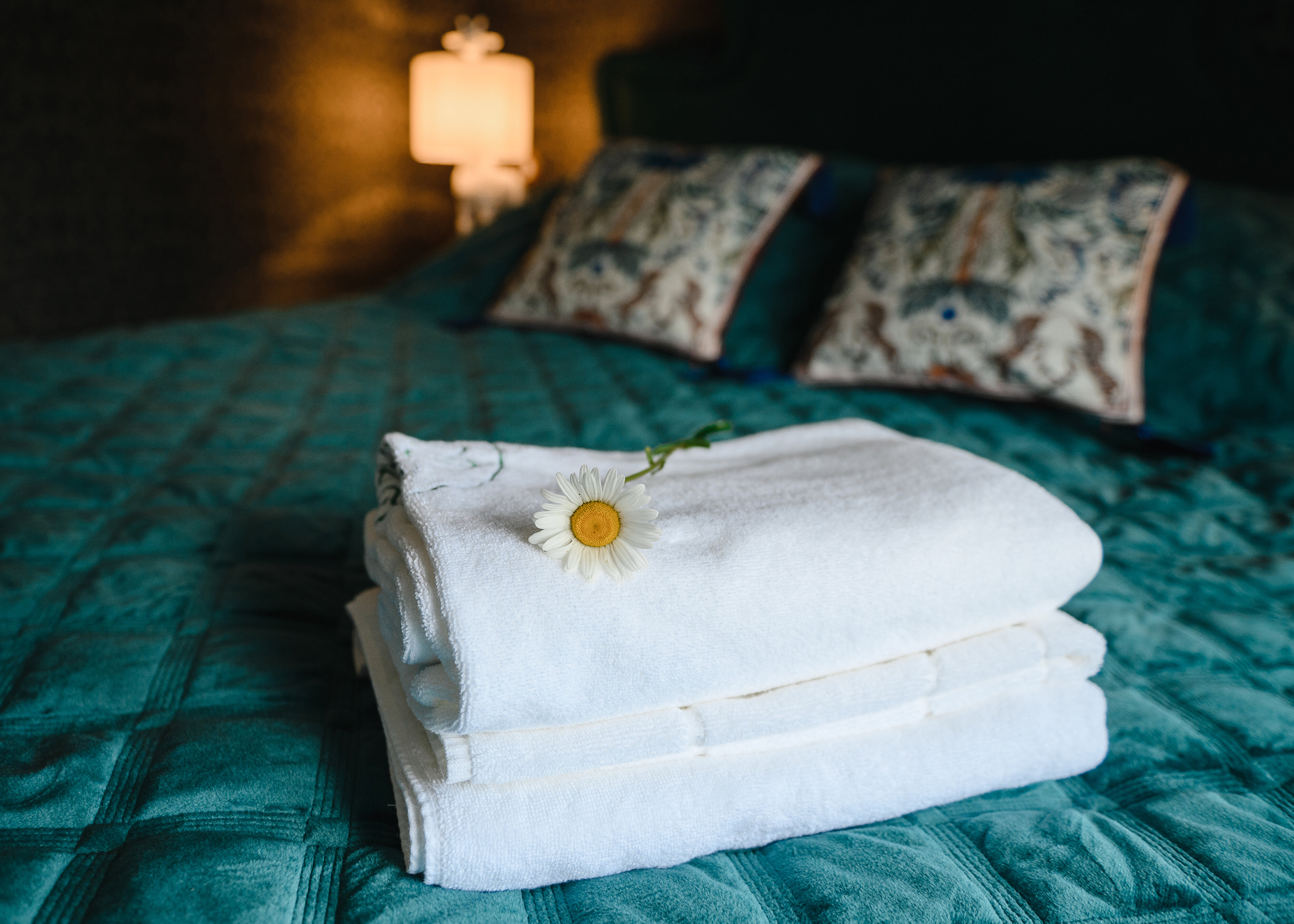 Фото Отель Зелёная Сова