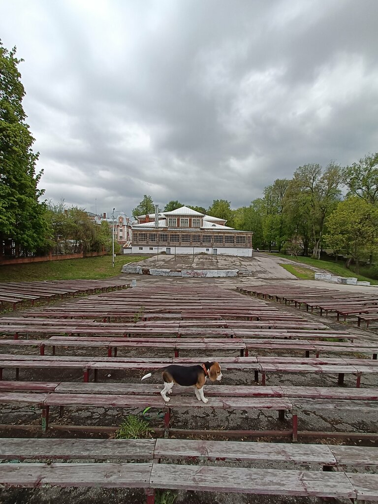 Достопримечательность Летний клуб Благородного собрания, Рязань, фото