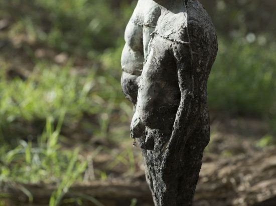 Фото Weltevreden Estate