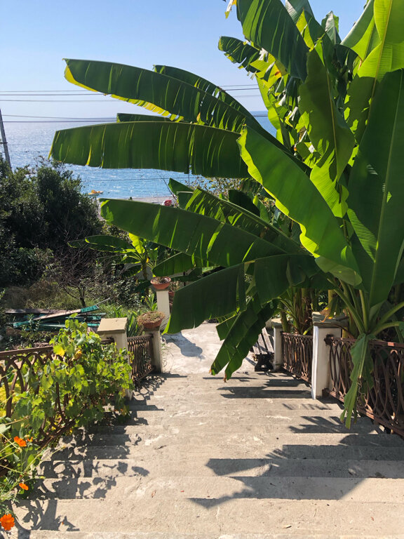 Фото Усадьба Верона