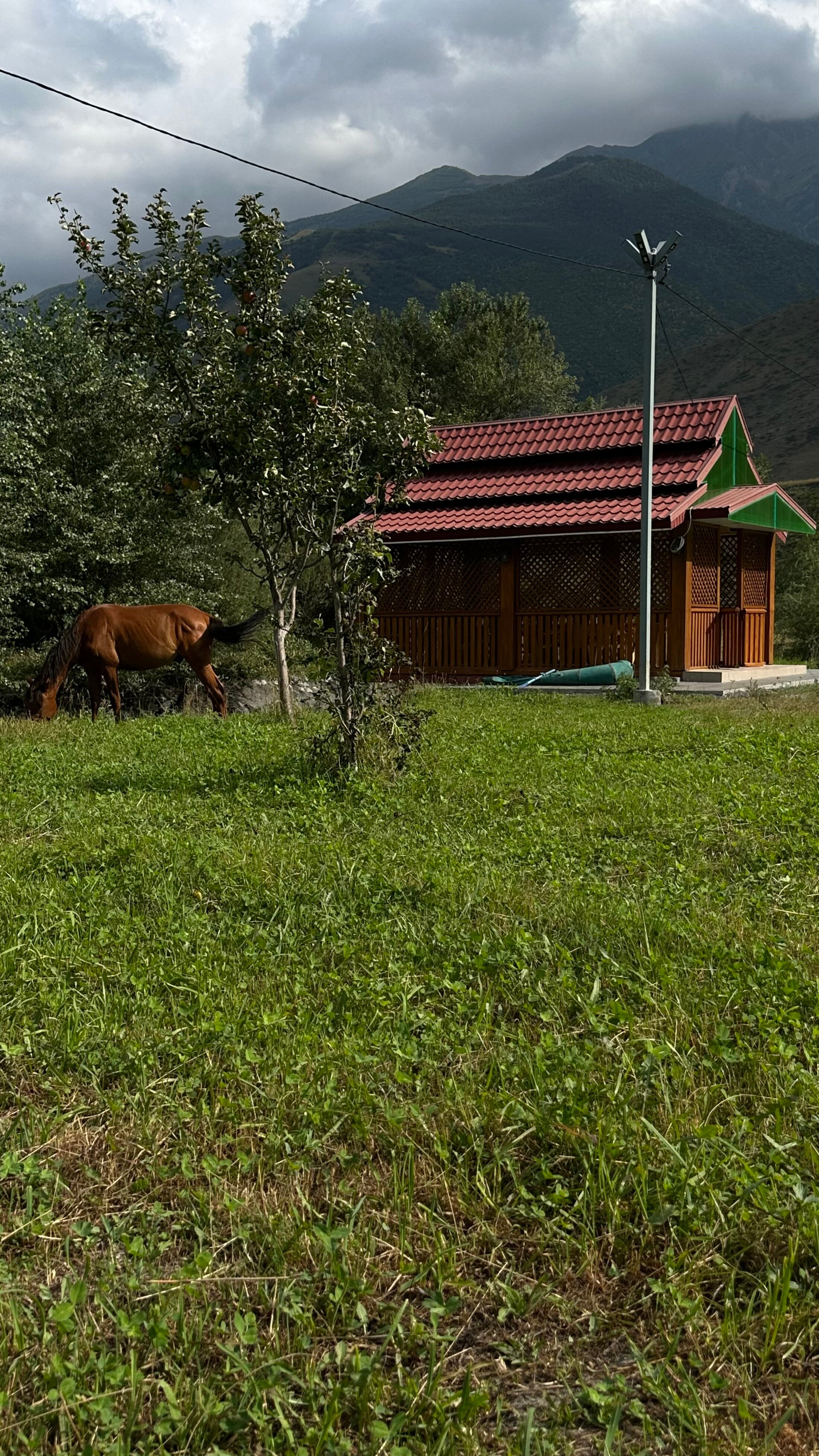 Фото Рагдан