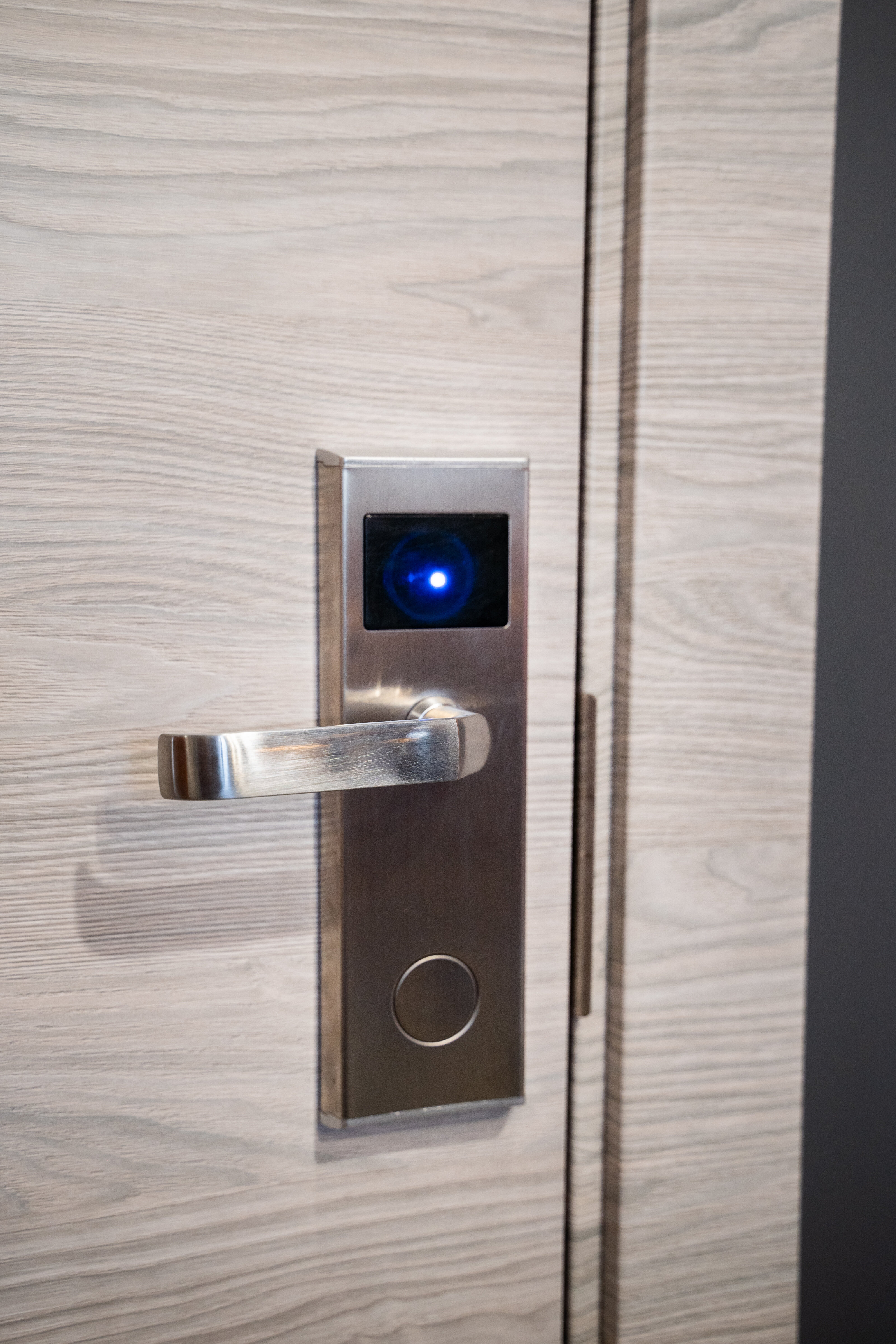 Фото Снегири