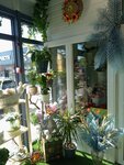 Орхидея (selo Dubna, 43), flower shop