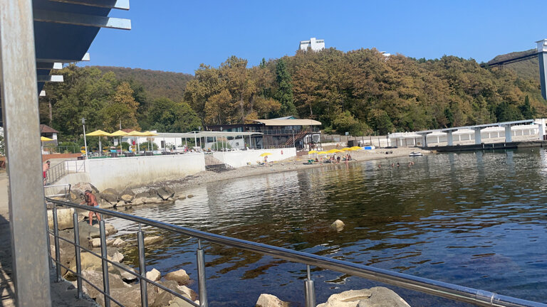 Фото Green Apple