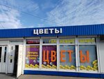 Цветы (Rostovskaya Street, 41Б), flower shop