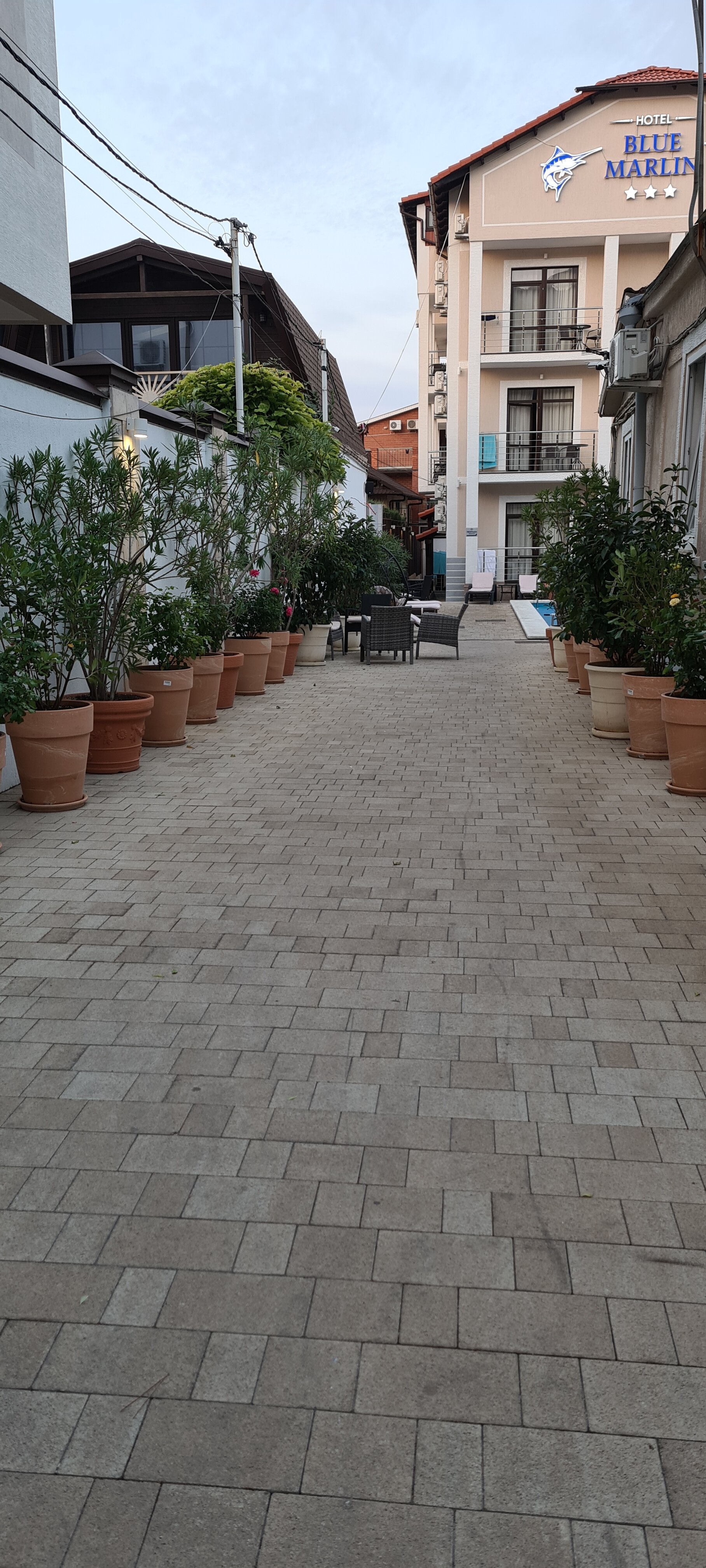 Фото Blue Marlin