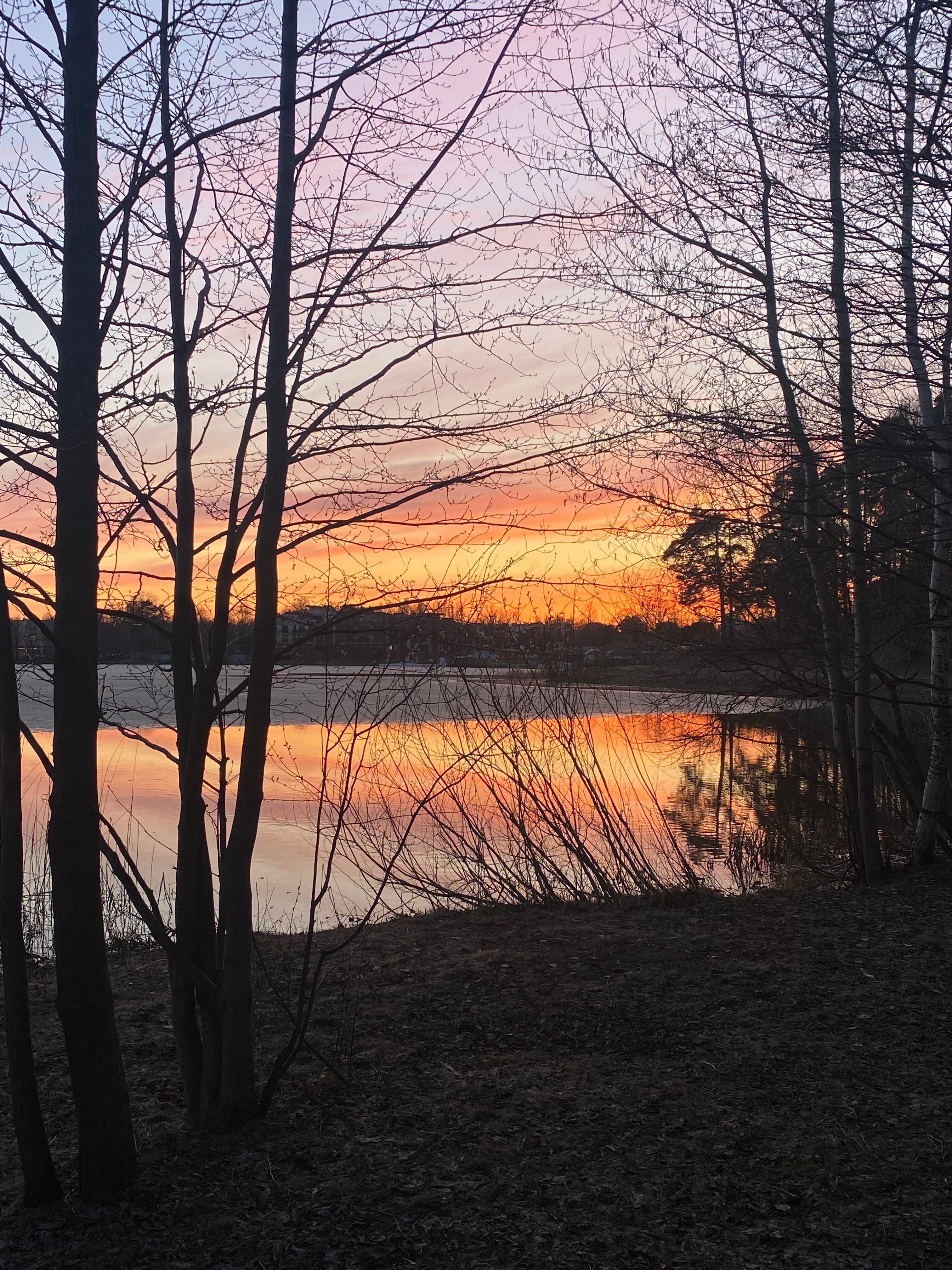 Фото Комфорт-Апарт