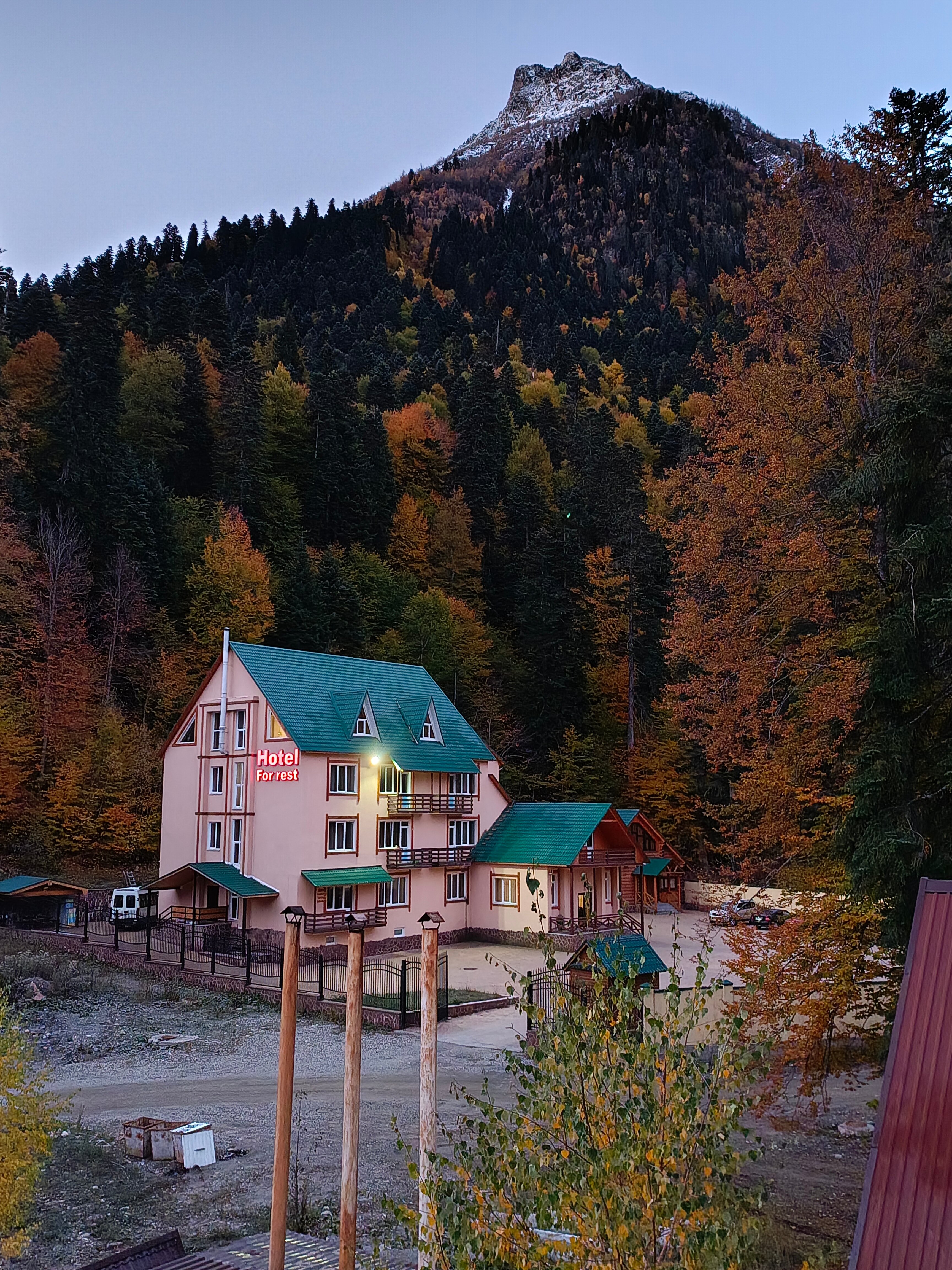 Фото Снежный Барс